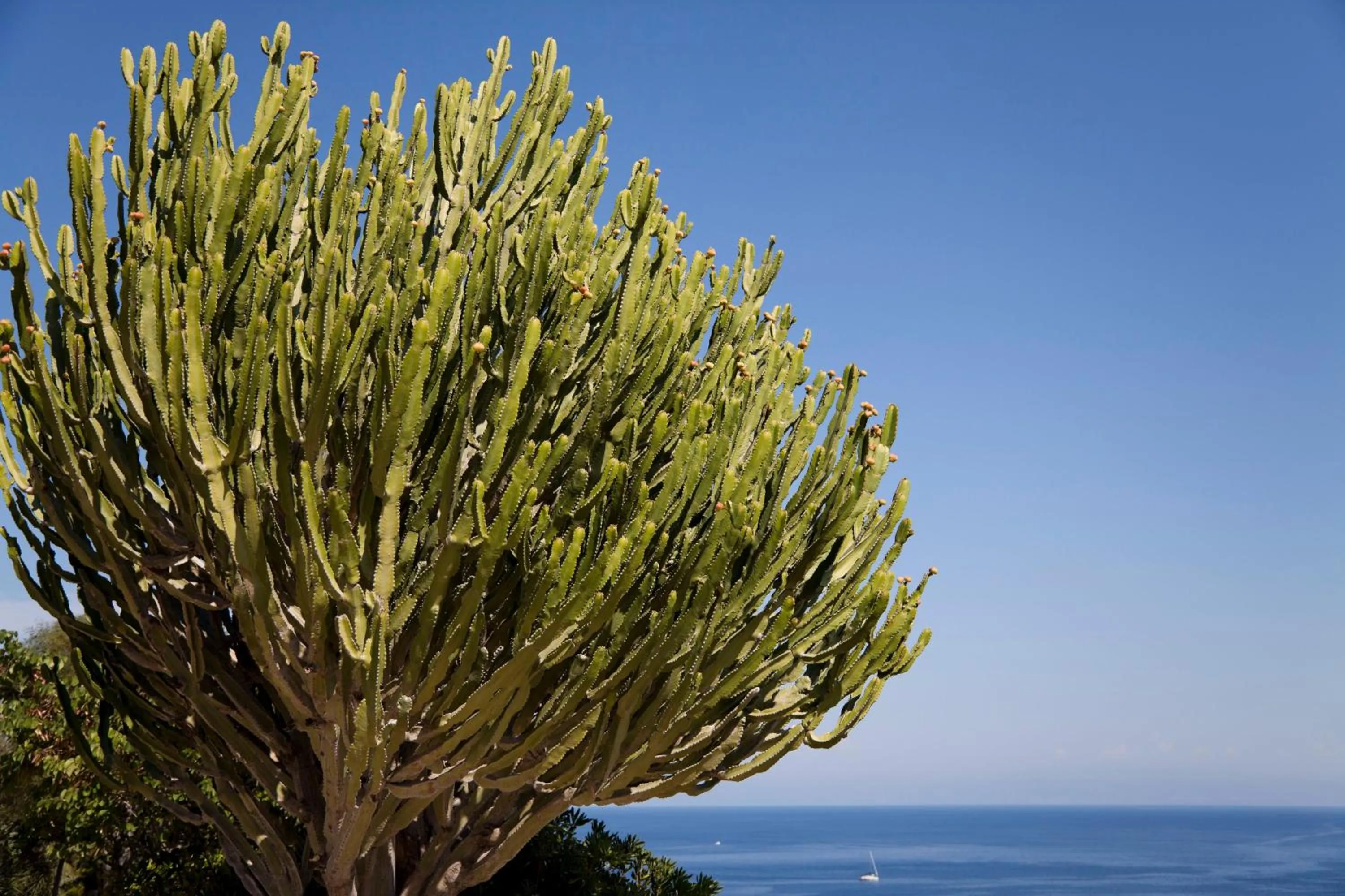 Day in Hotel Villa Enrica - Aeolian Charme