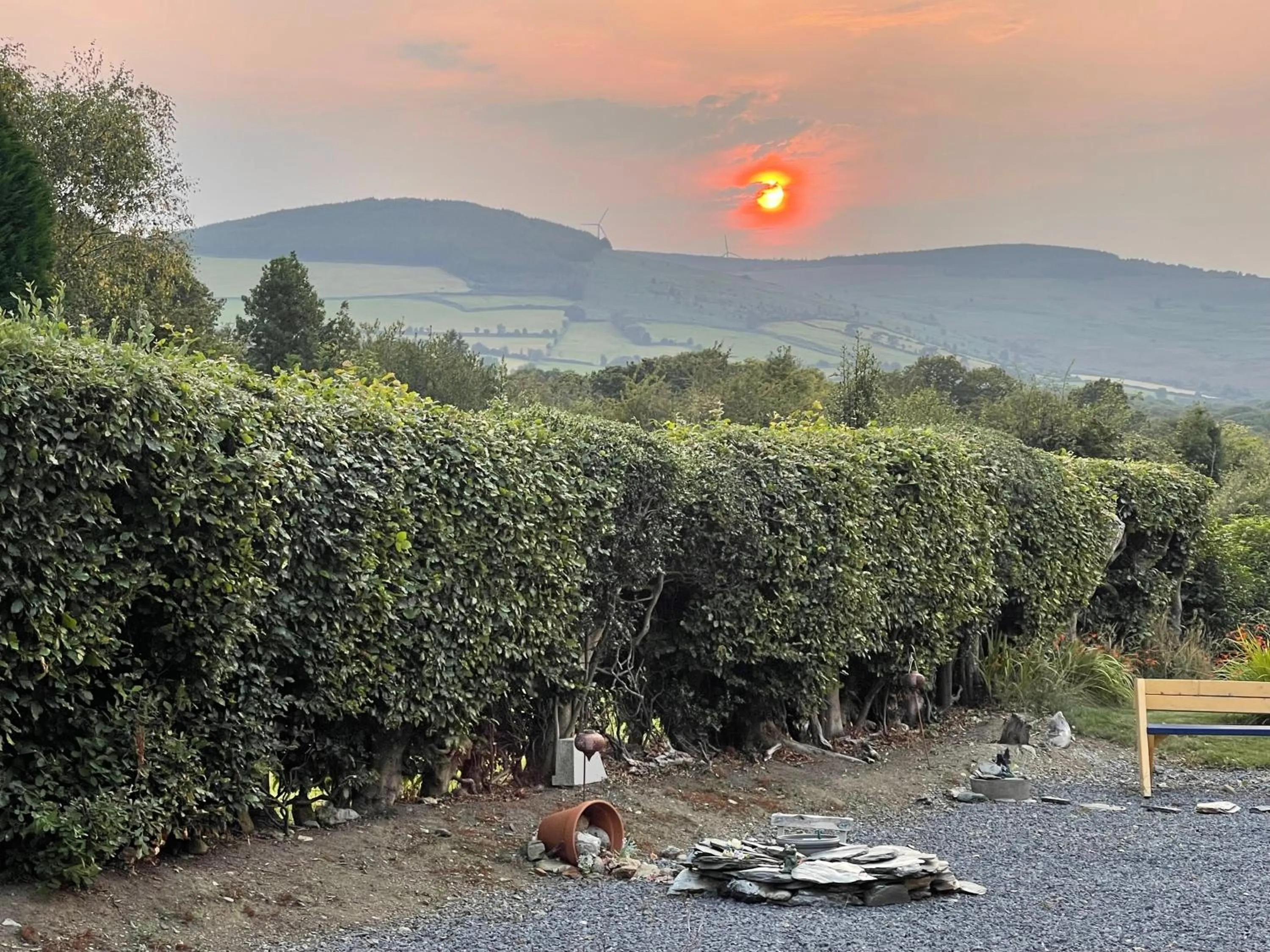 Sunset in Mon Petit Cottage - B&B and Guest House in Bunclody