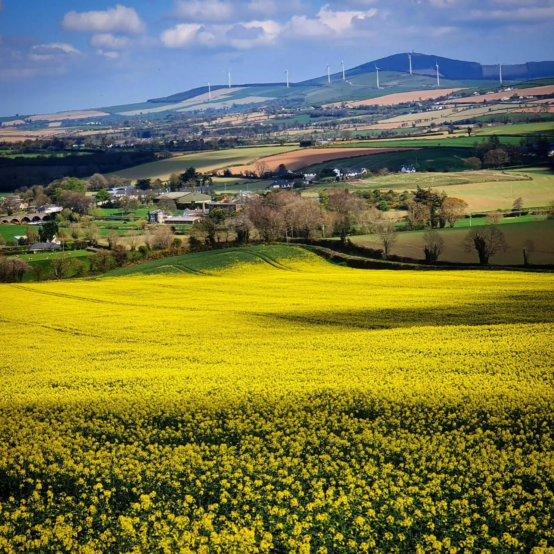 Activities in Mon Petit Cottage - B&B and Guest House in Bunclody
