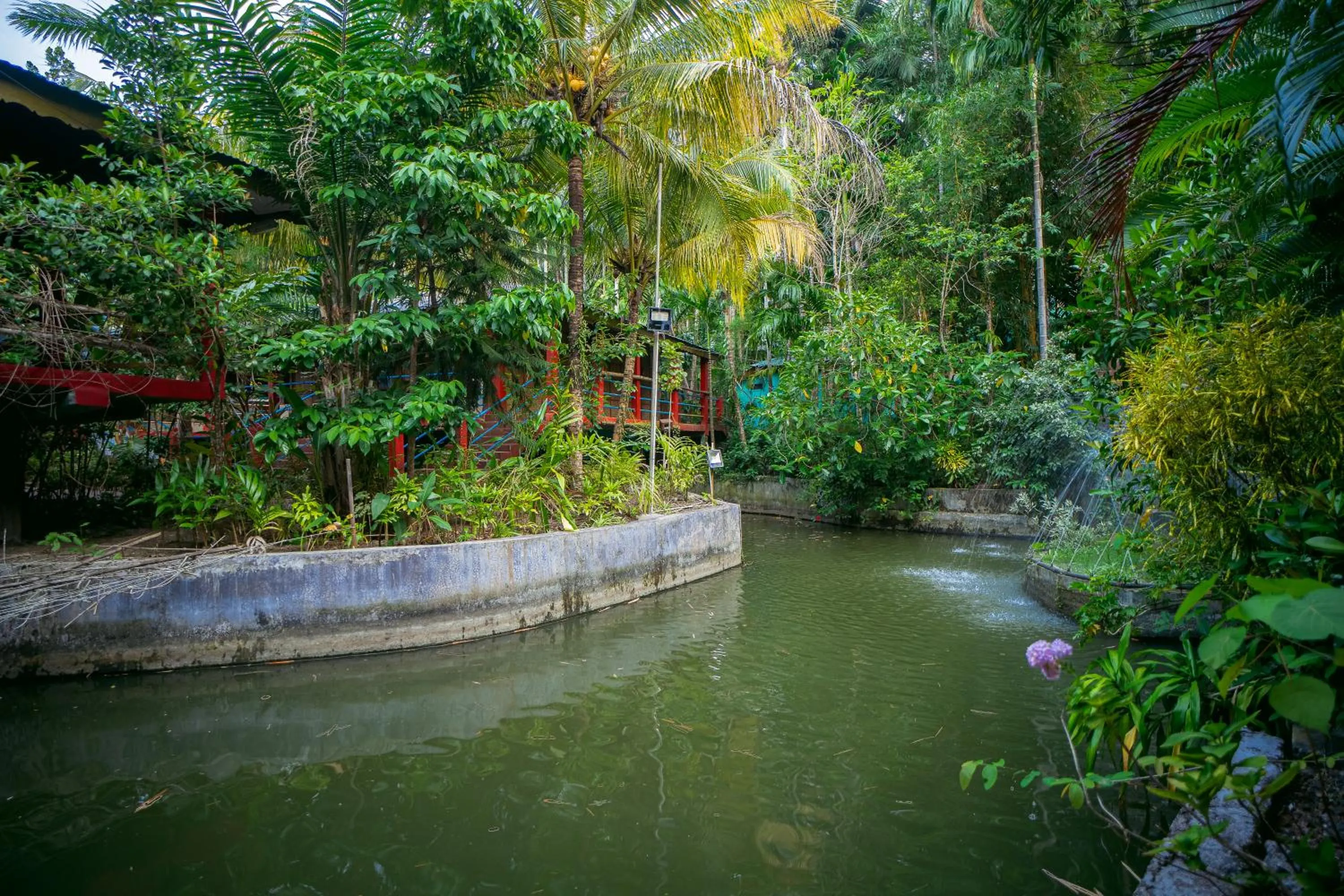 Lake view in Palm Grove Eco Resort