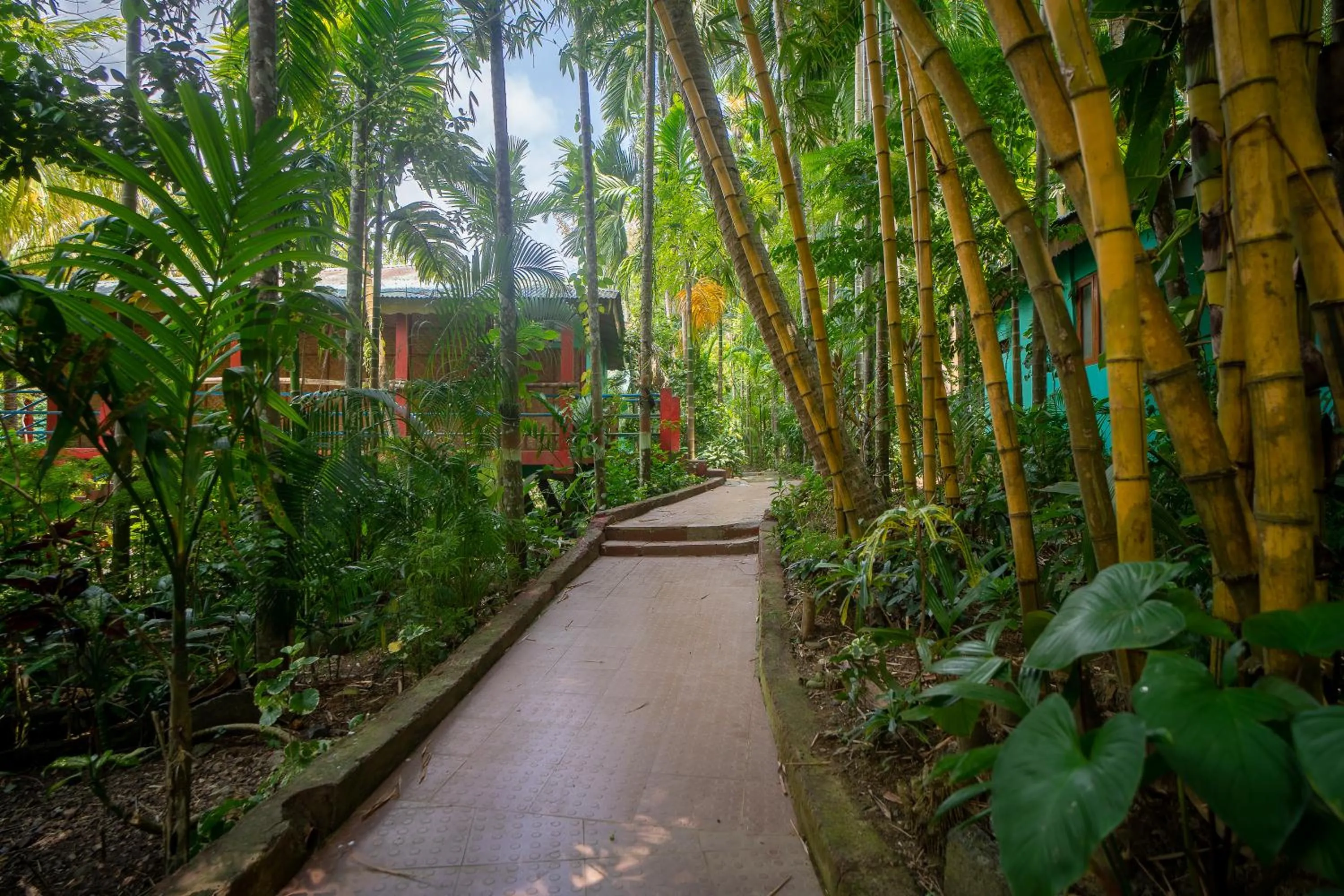 Garden in Palm Grove Eco Resort