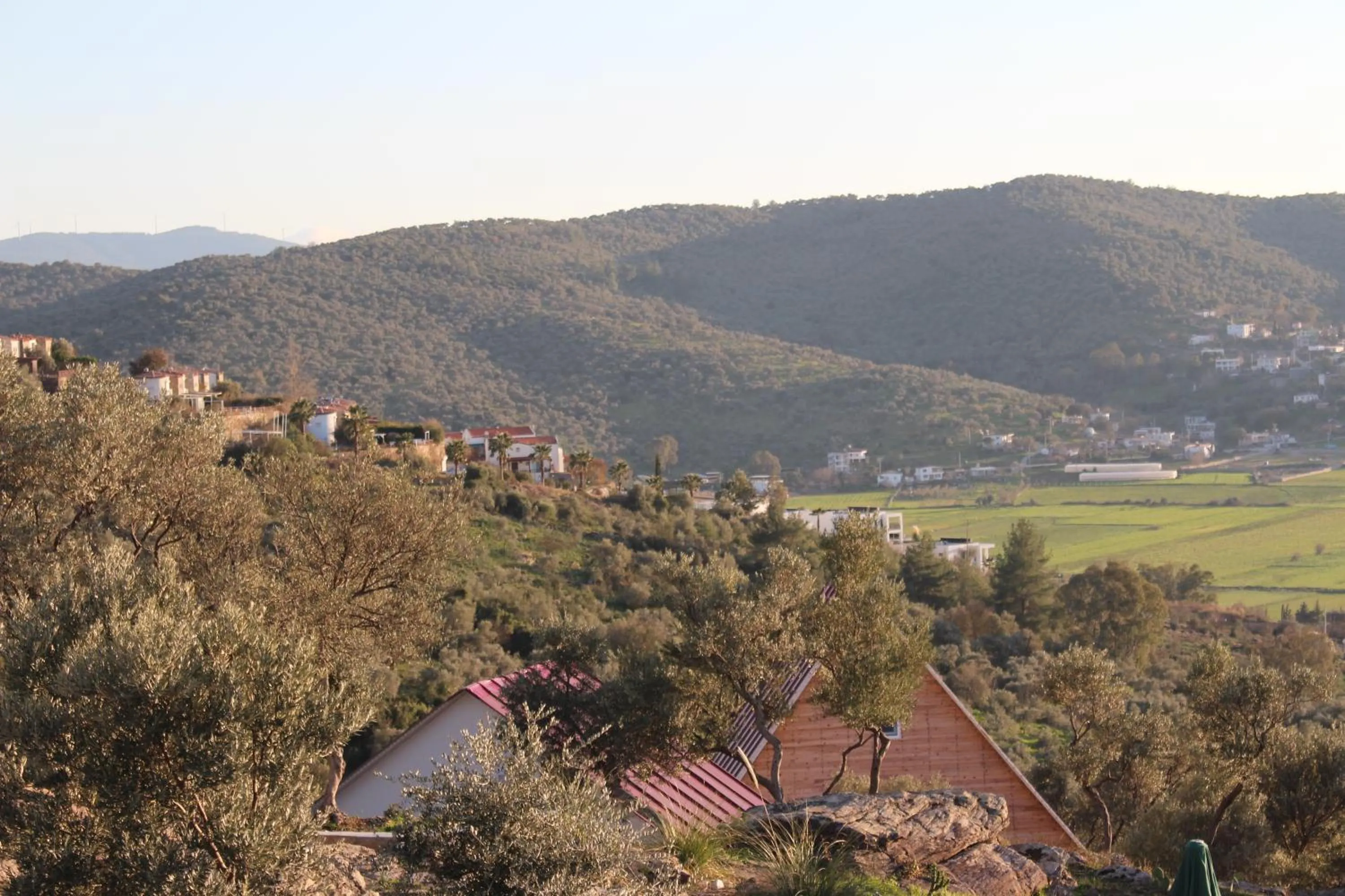 Natural landscape in Olive Garden Retreat
