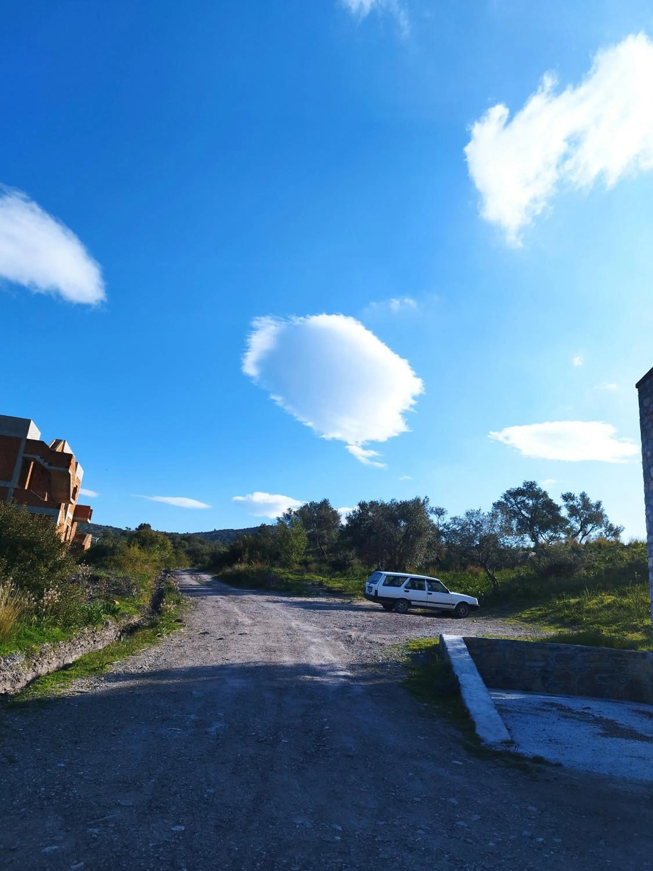 Olive Garden Retreat