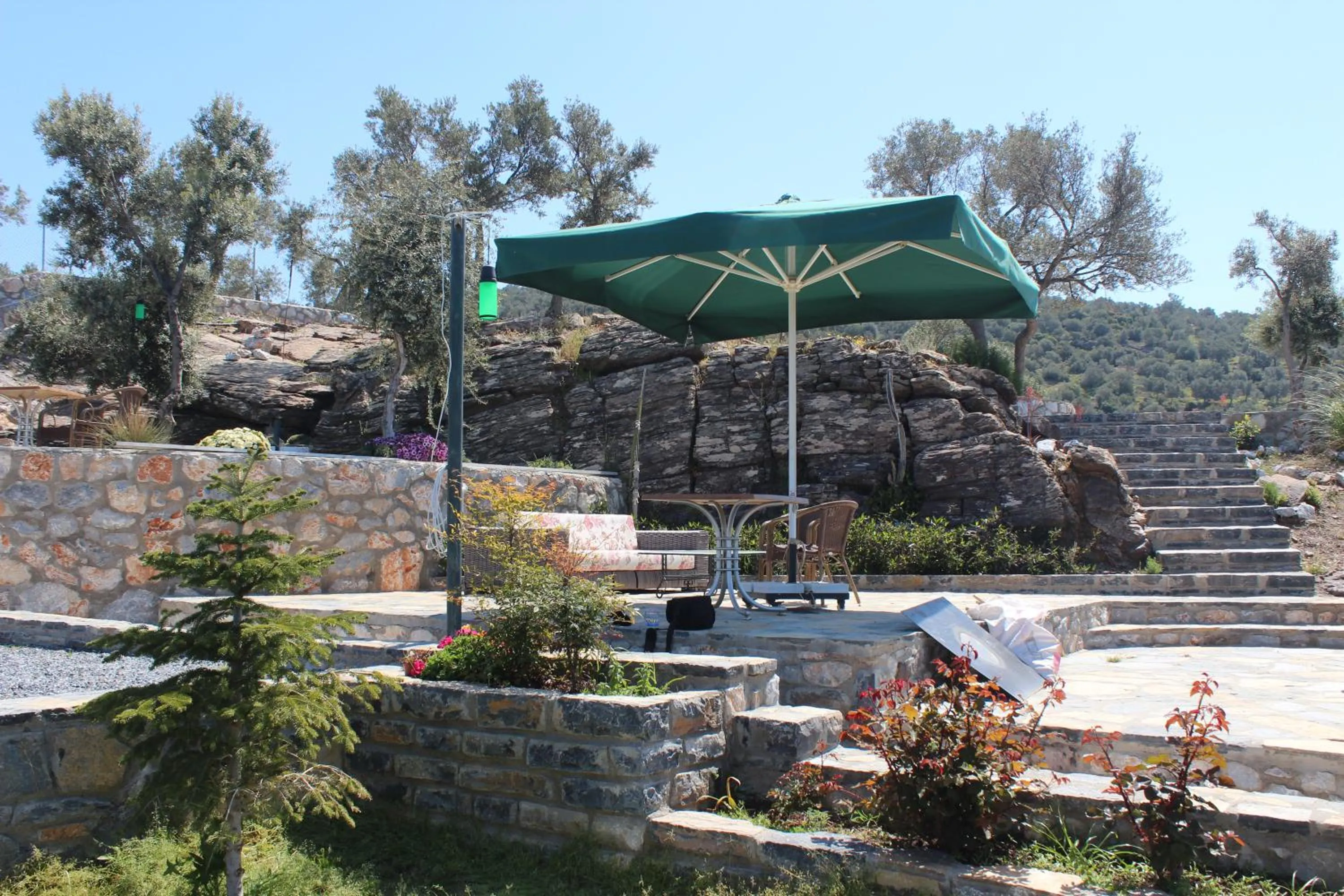 Restaurant/places to eat in Olive Garden Retreat