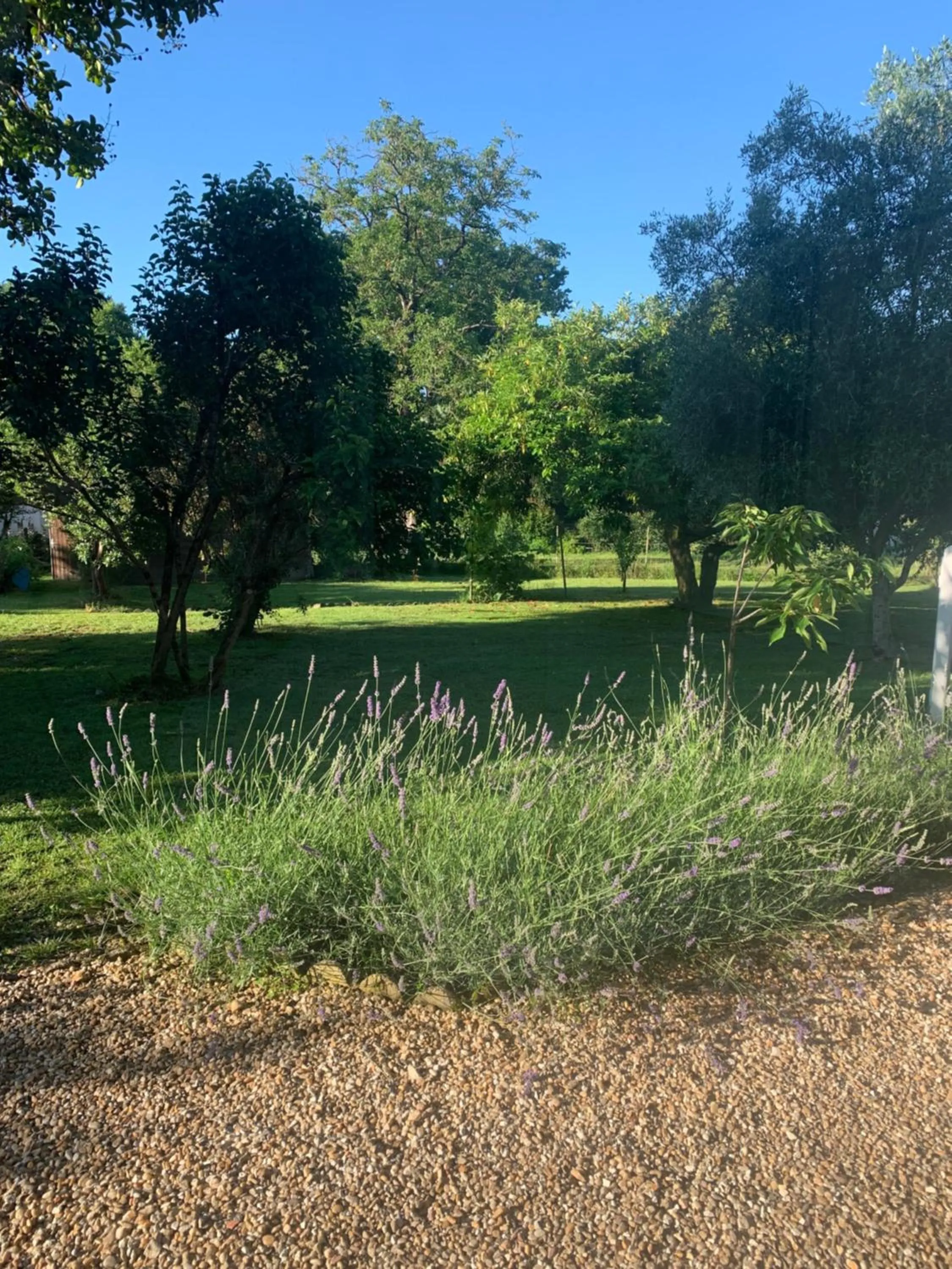 Garden in Brigitte et Moi
