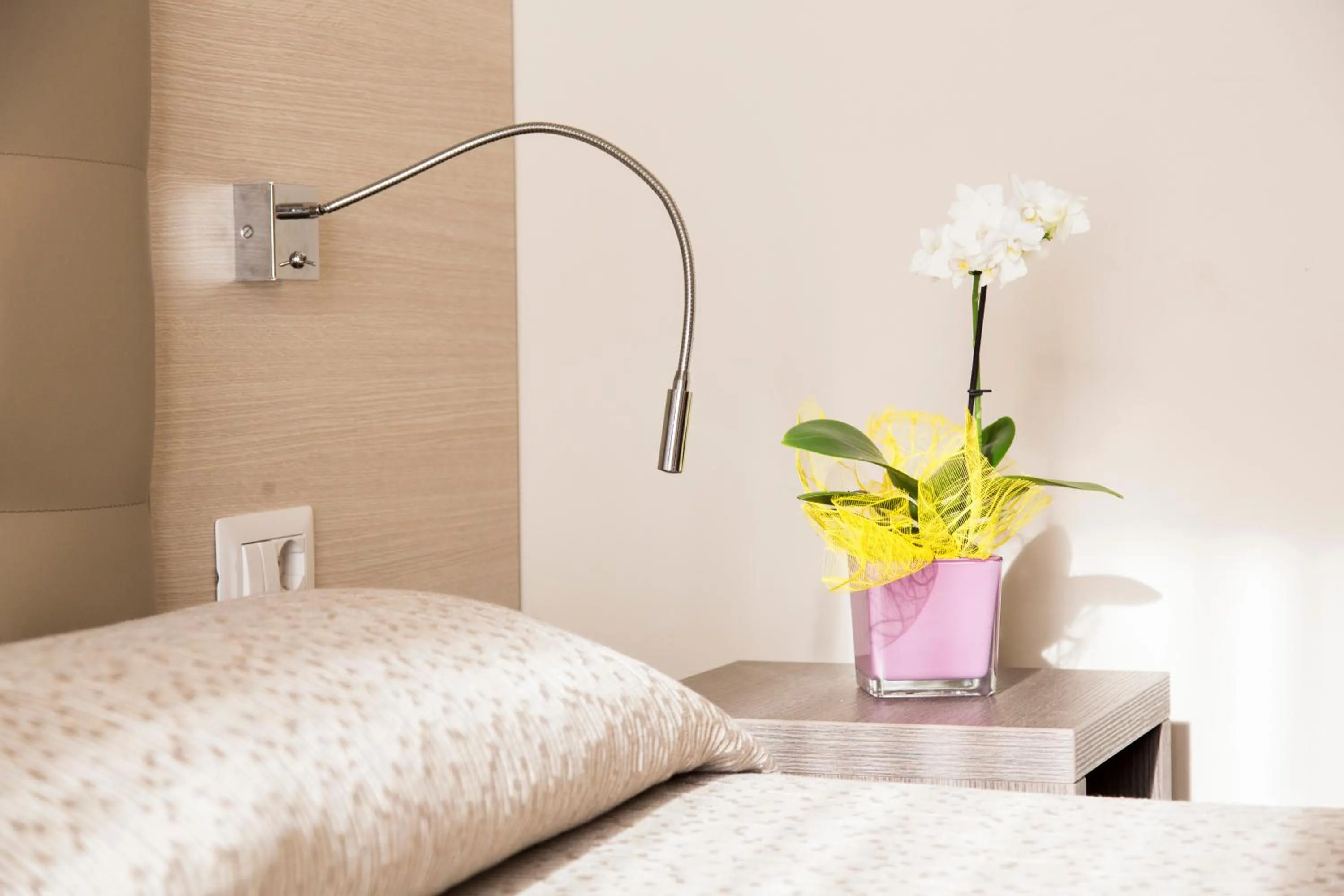 Bed in Hotel Meeting