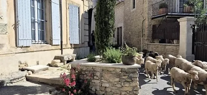 Street view in Chambres d'Hôtes Le relais des marmottes en Luberon