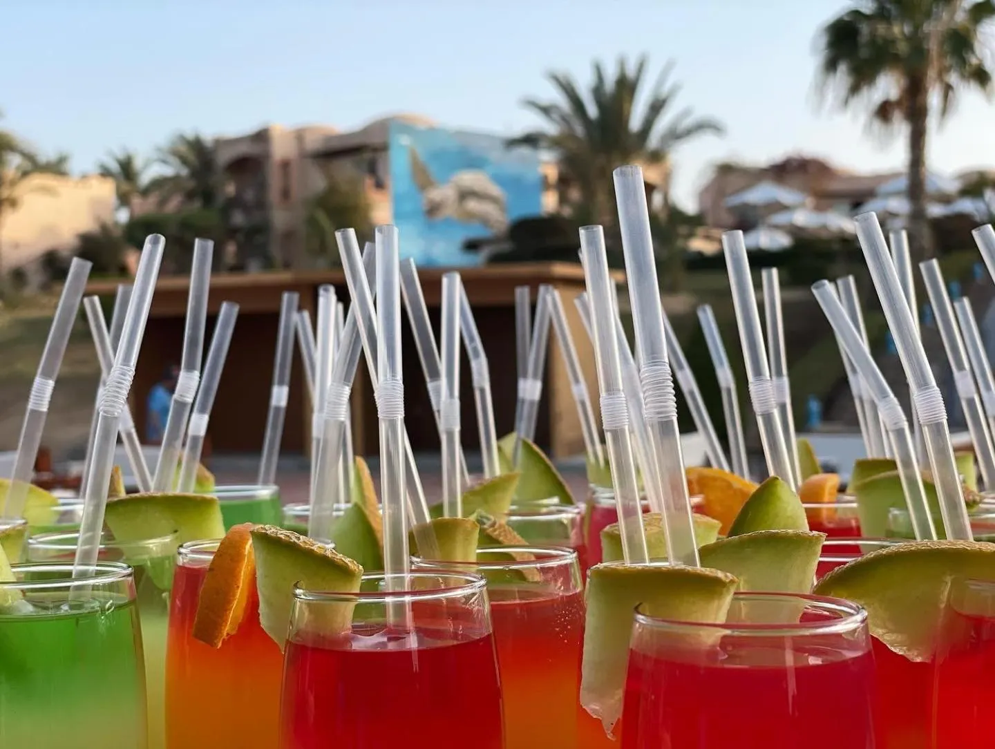 Drinks in Dream Lagoon Resort & Aqua Park