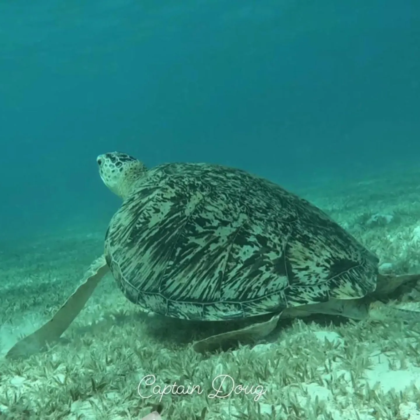 Snorkeling in Dream Lagoon Resort & Aqua Park