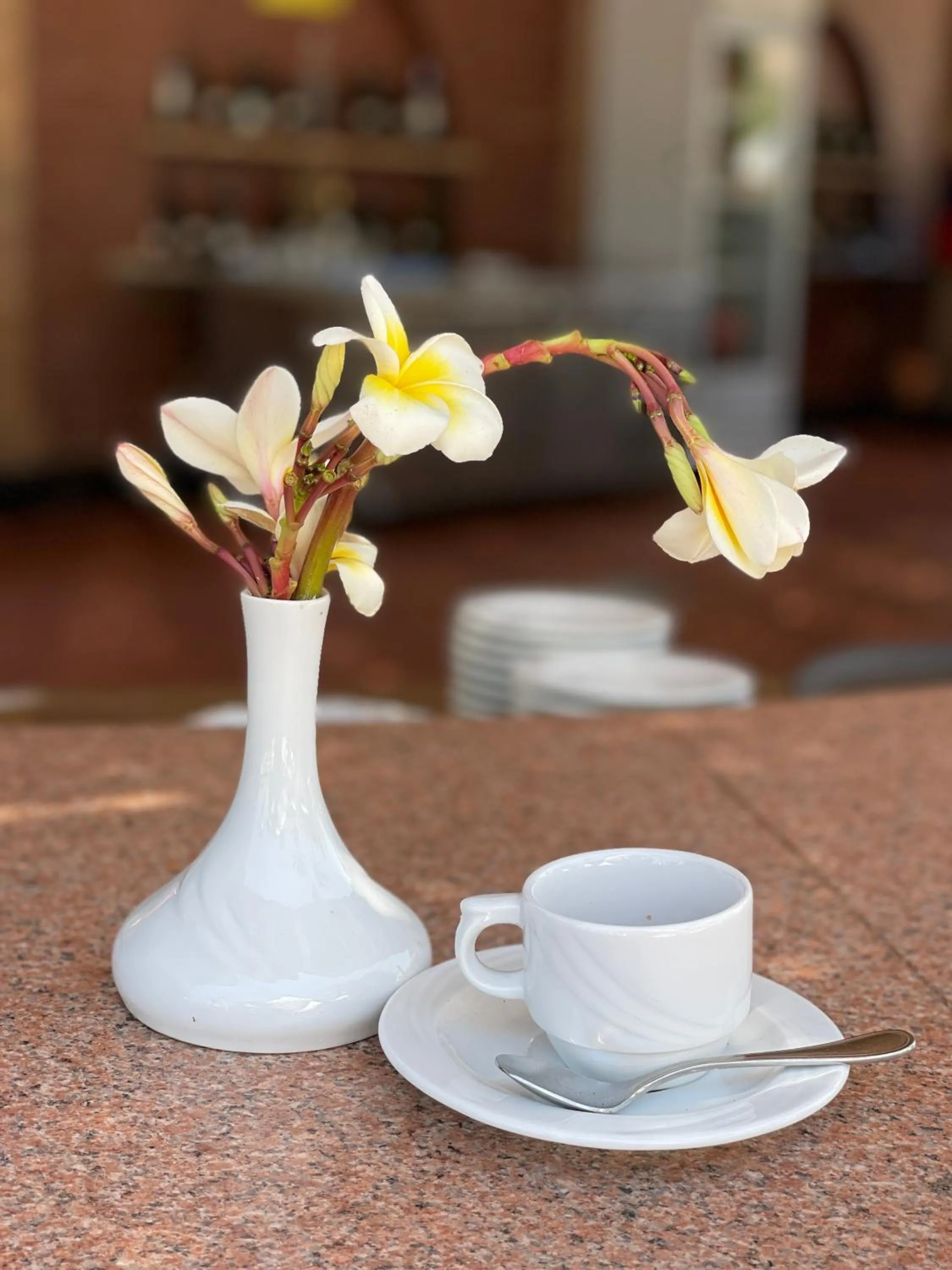 Drinks in Dream Lagoon Resort & Aqua Park