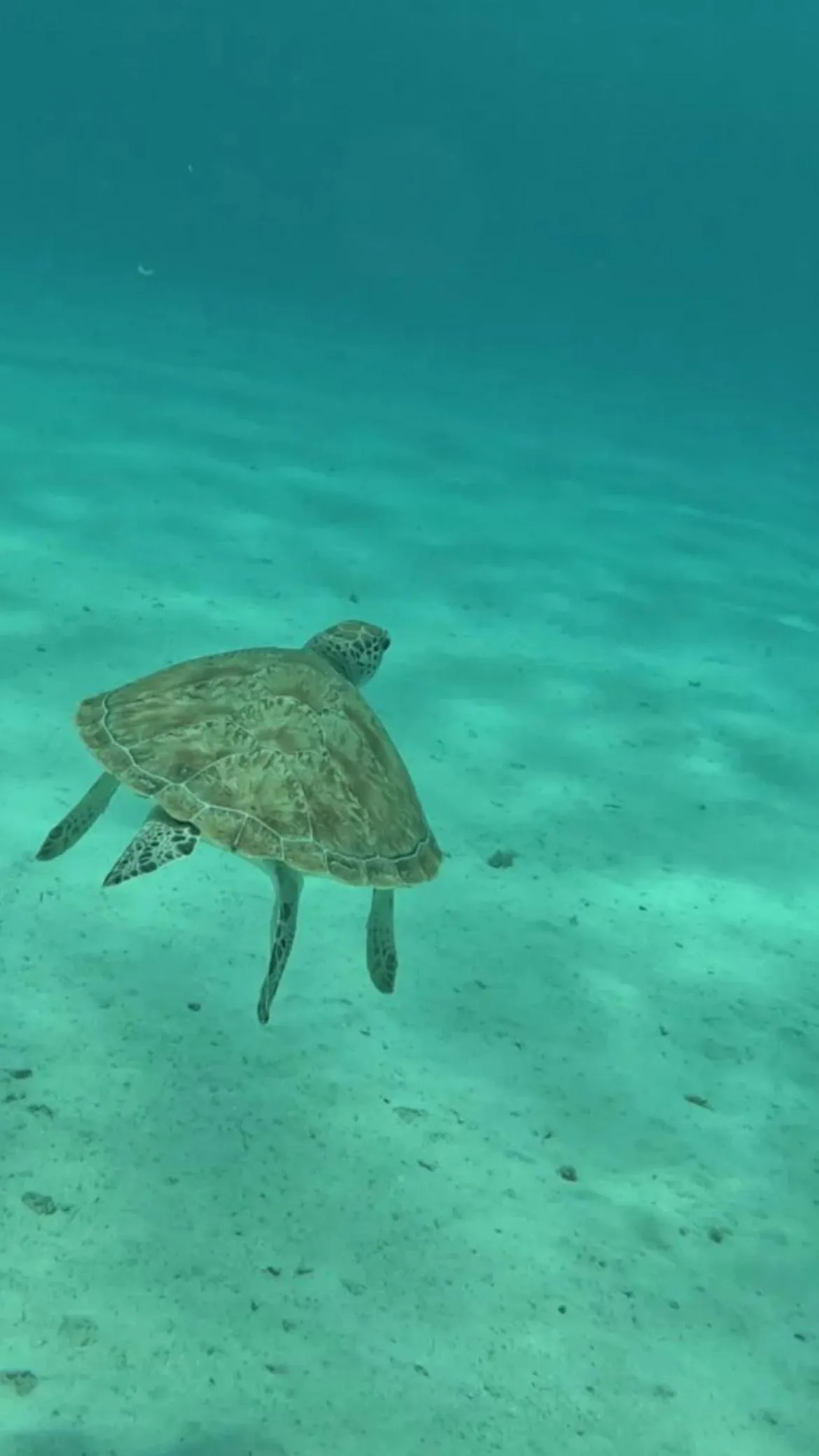 Activities in Dream Lagoon Resort & Aqua Park