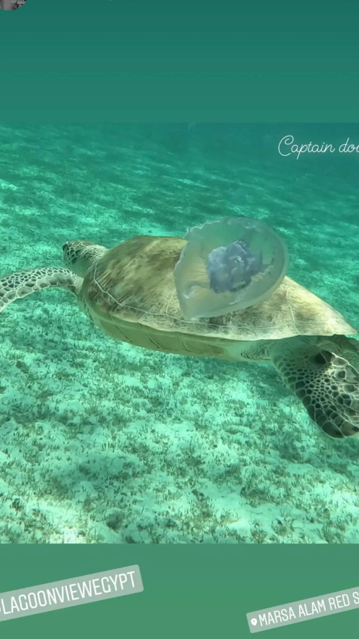 Snorkeling in Dream Lagoon Resort & Aqua Park