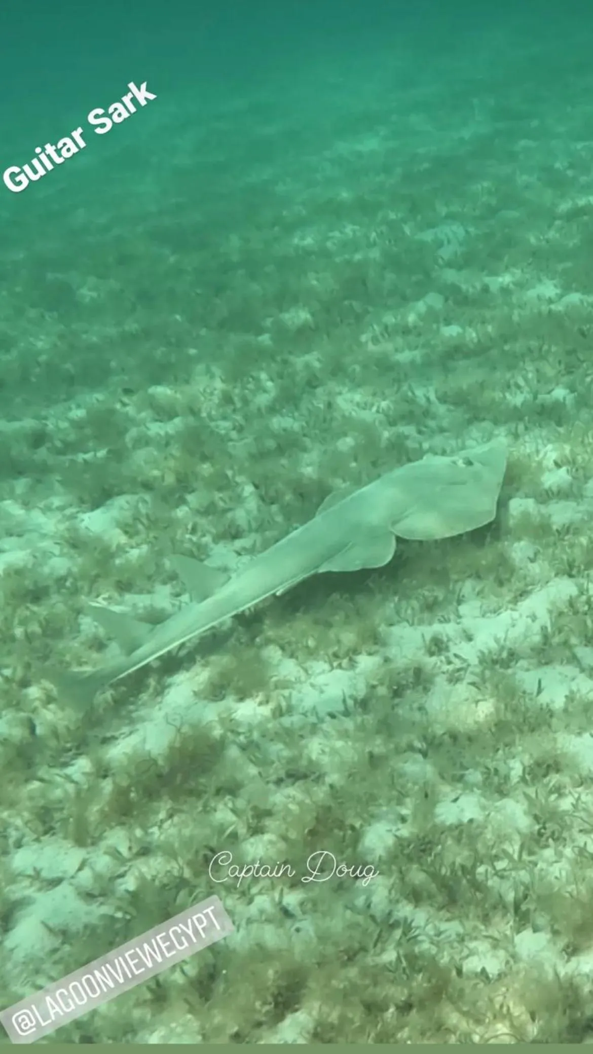 Snorkeling in Dream Lagoon Resort & Aqua Park