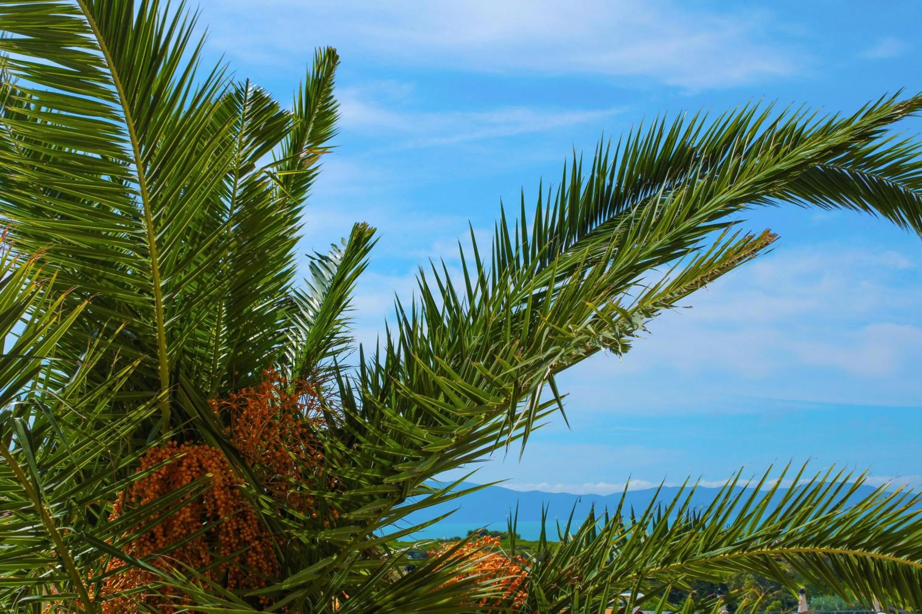 Beach in Argentario Osa Resort