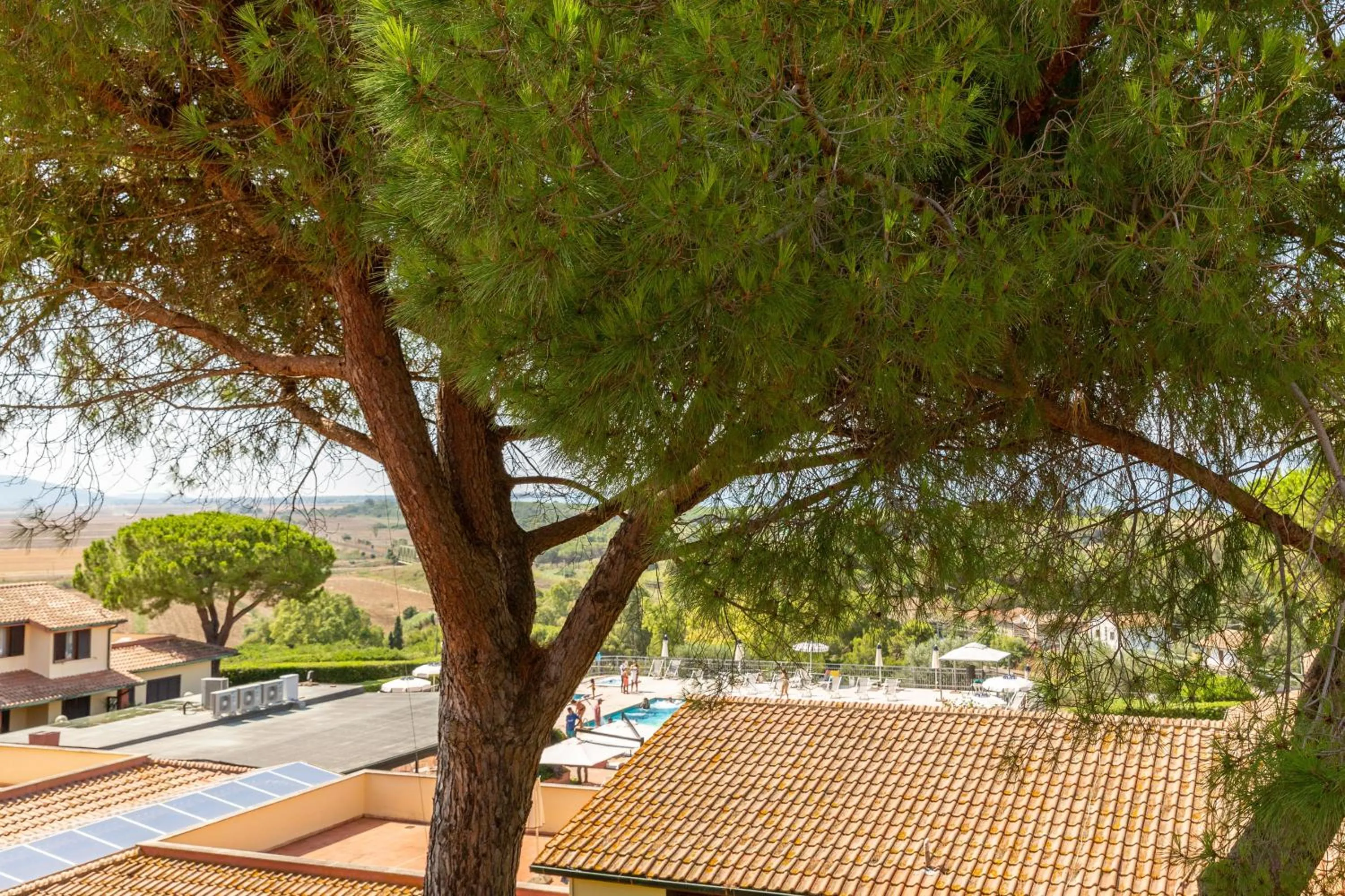 View (from property/room) in Argentario Osa Resort