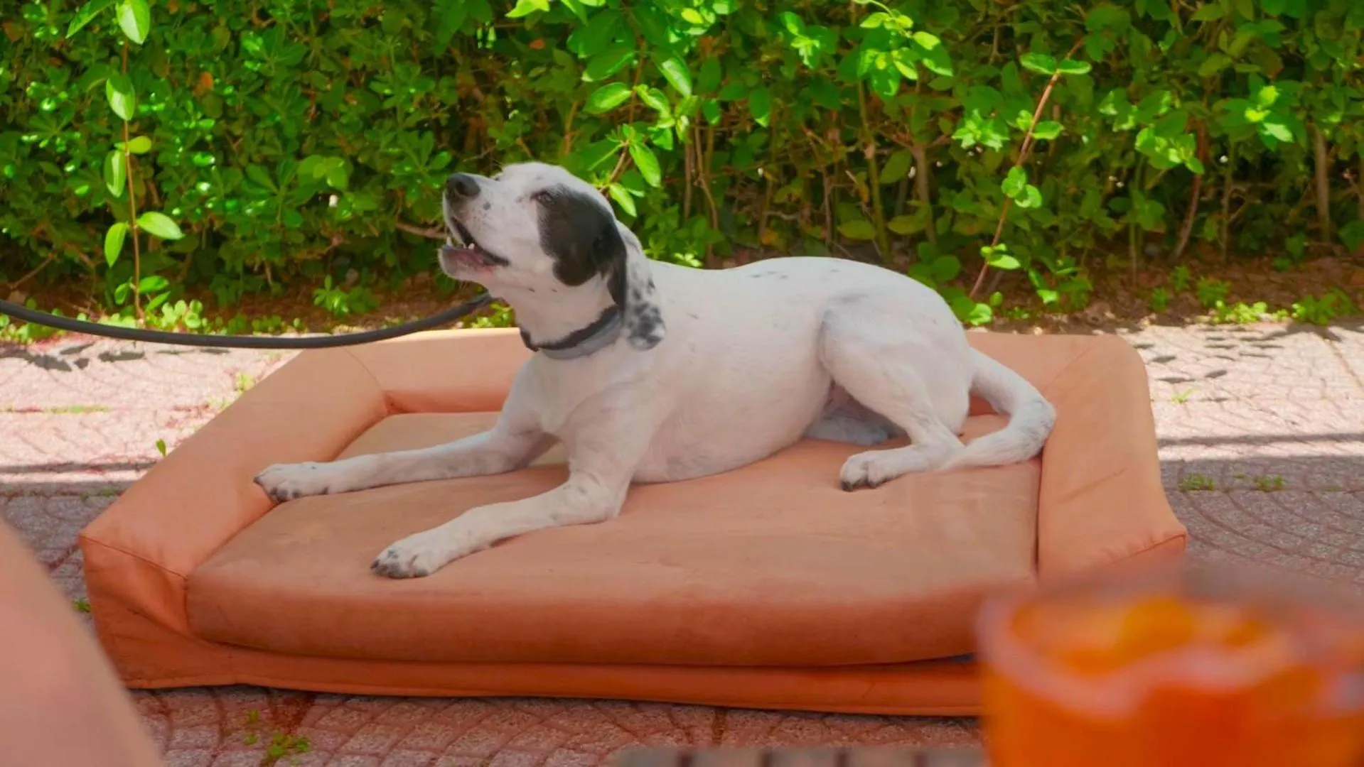 Argentario Osa Resort