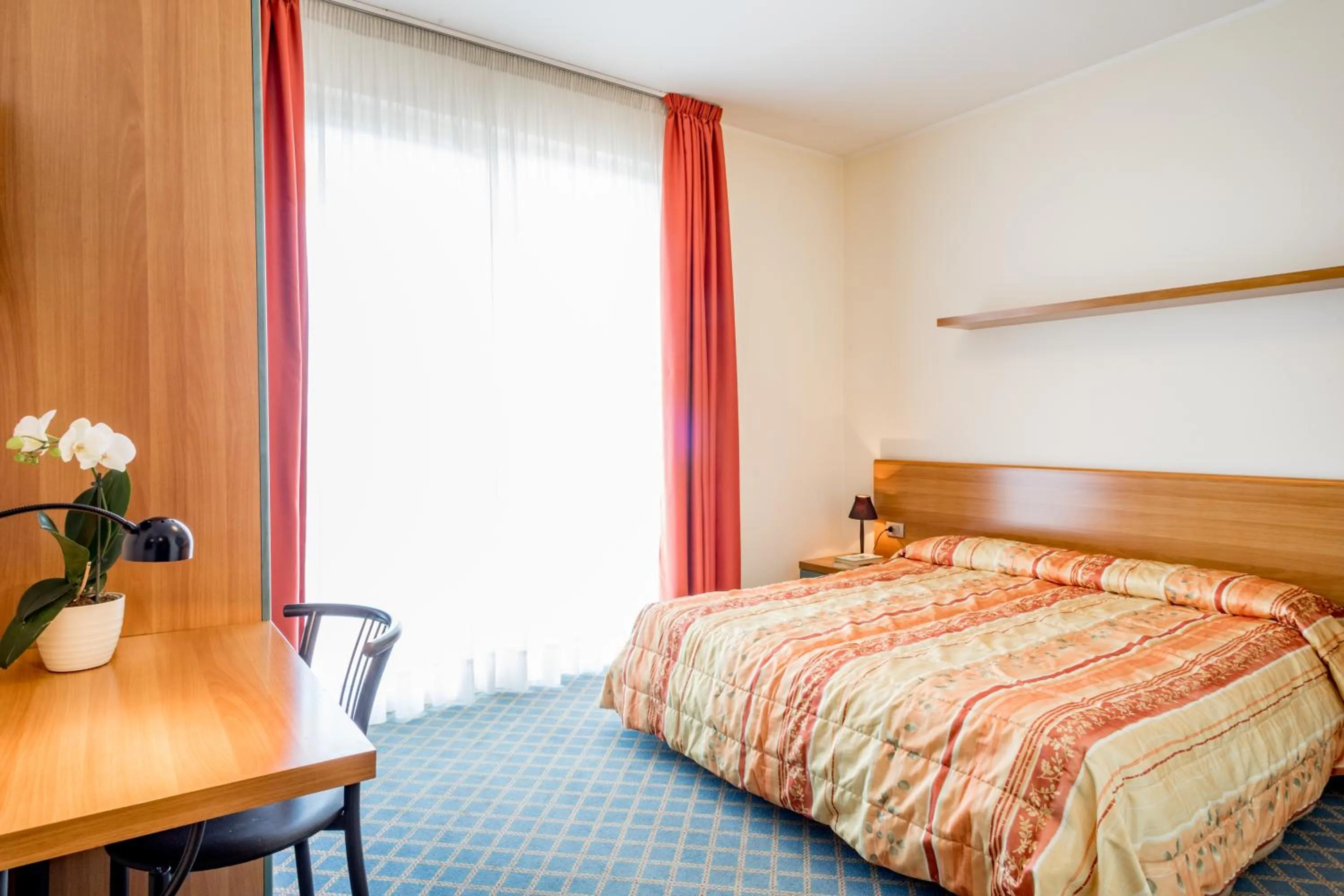 Photo of the whole room in Hotel San Vito