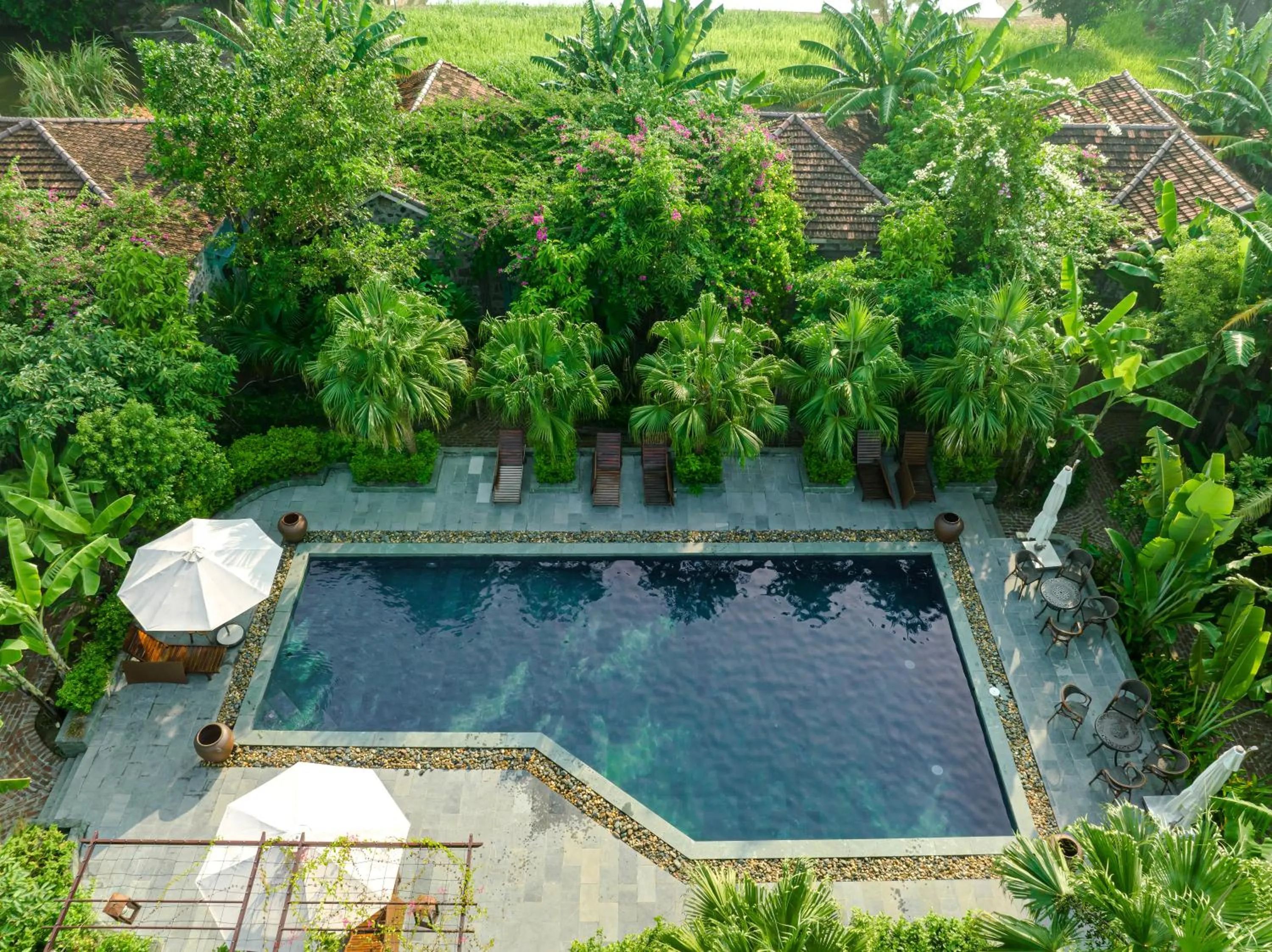 Swimming pool in ChezCao Rice Field Ecolodge Ninh Binh