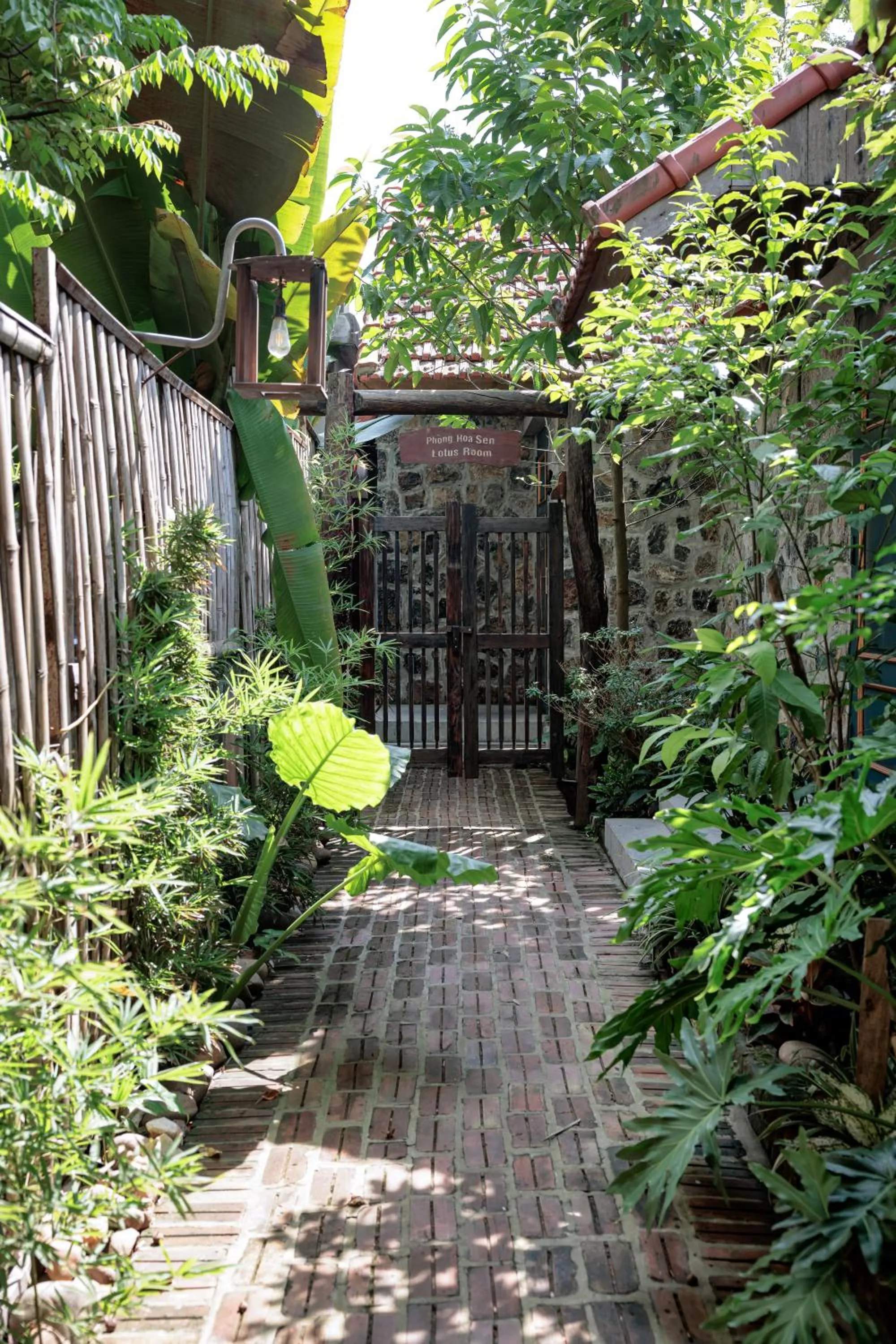 Garden view in ChezCao Rice Field Ecolodge Ninh Binh
