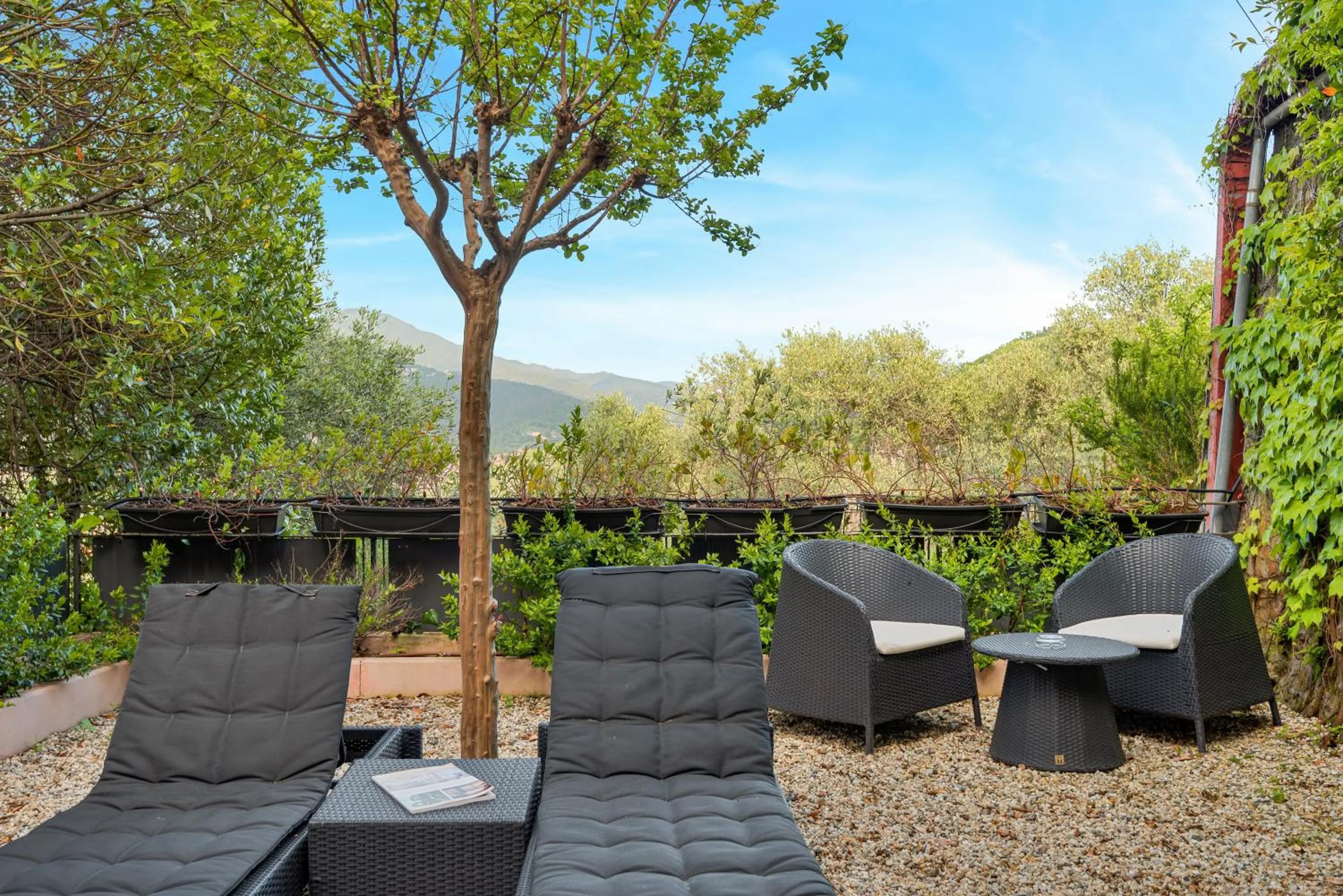 Garden in Hotel Vis à Vis