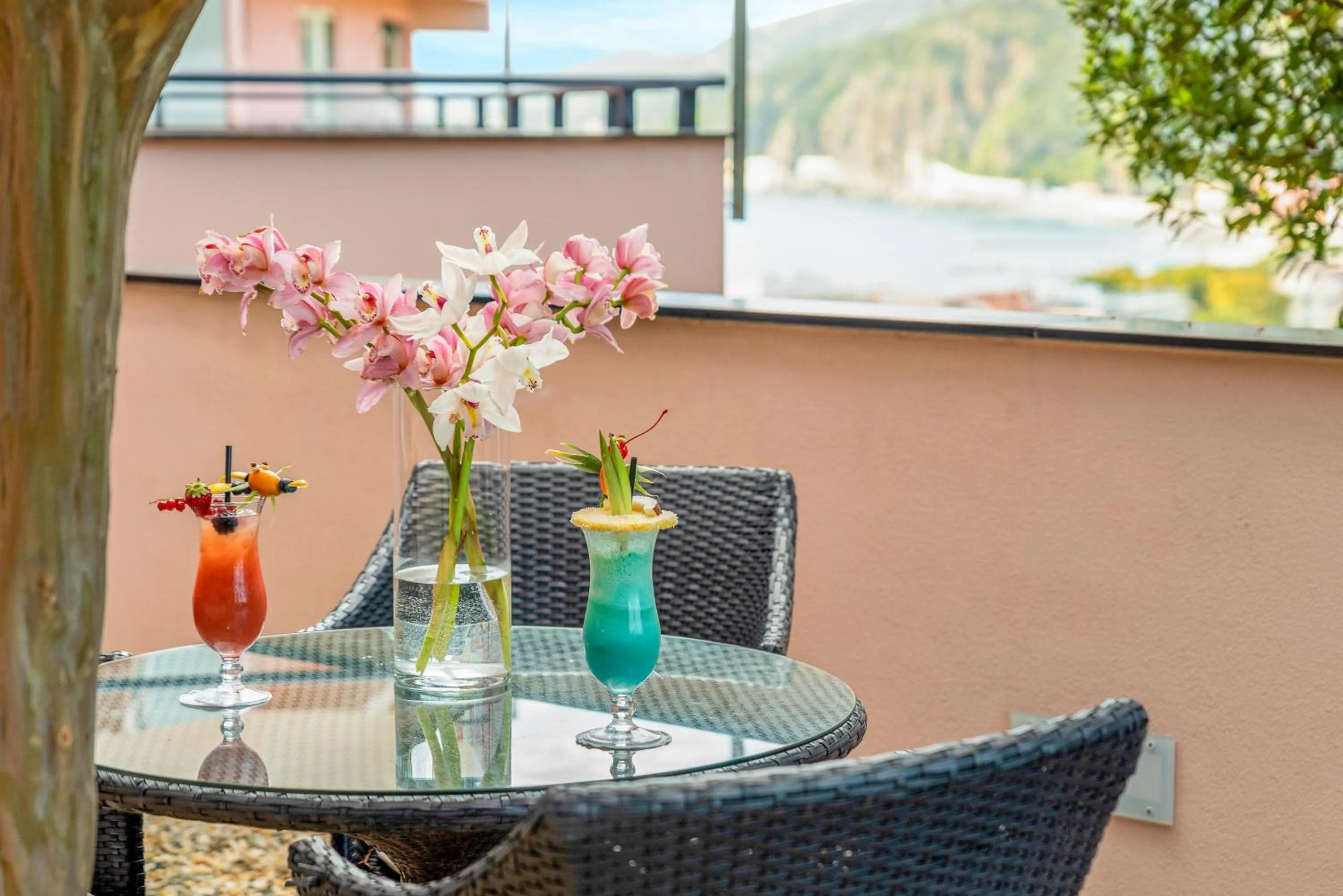 Garden in Hotel Vis à Vis