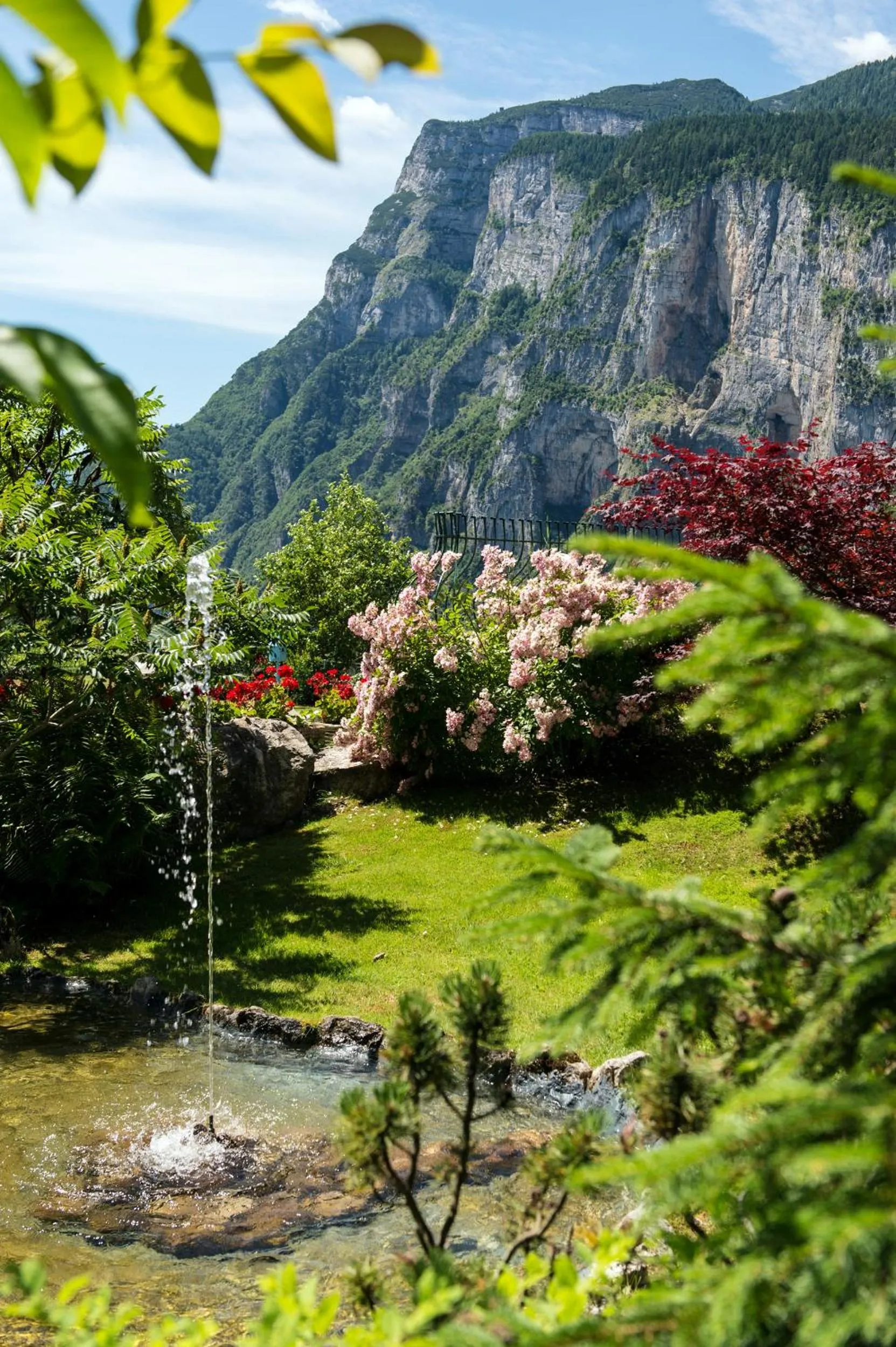 Area and facilities in Alp Wellness Sport Hotel Panorama
