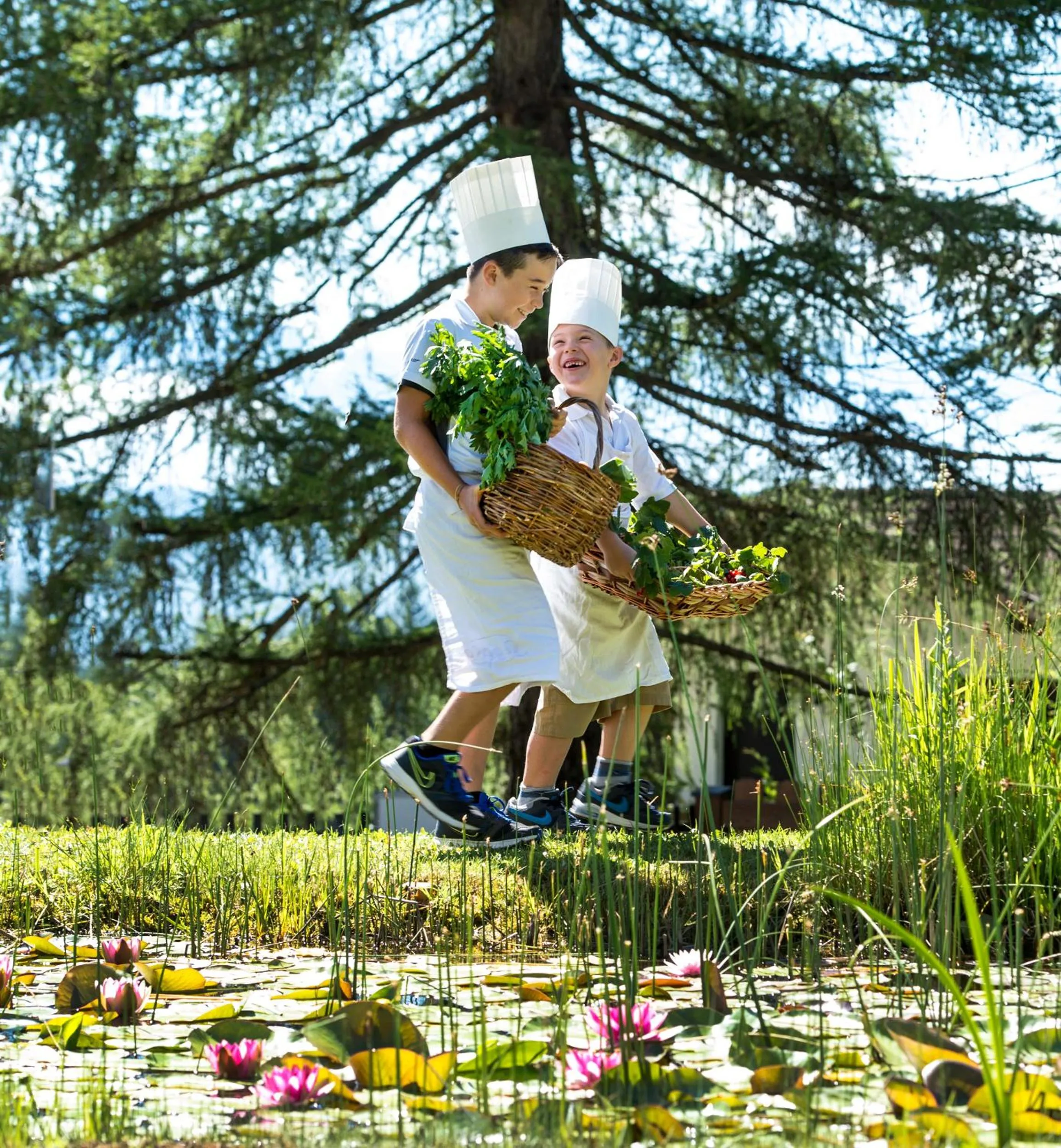 Garden in Alp Wellness Sport Hotel Panorama