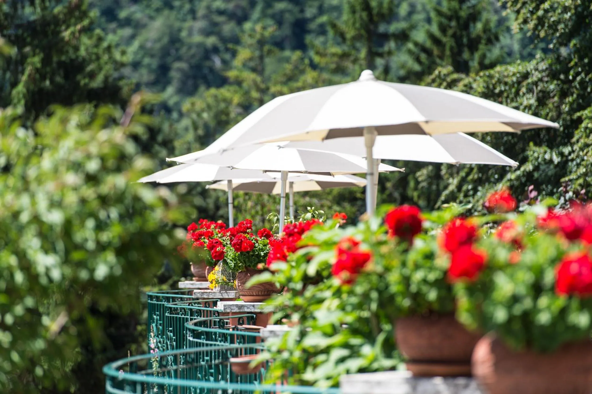 Garden in Alp Wellness Sport Hotel Panorama