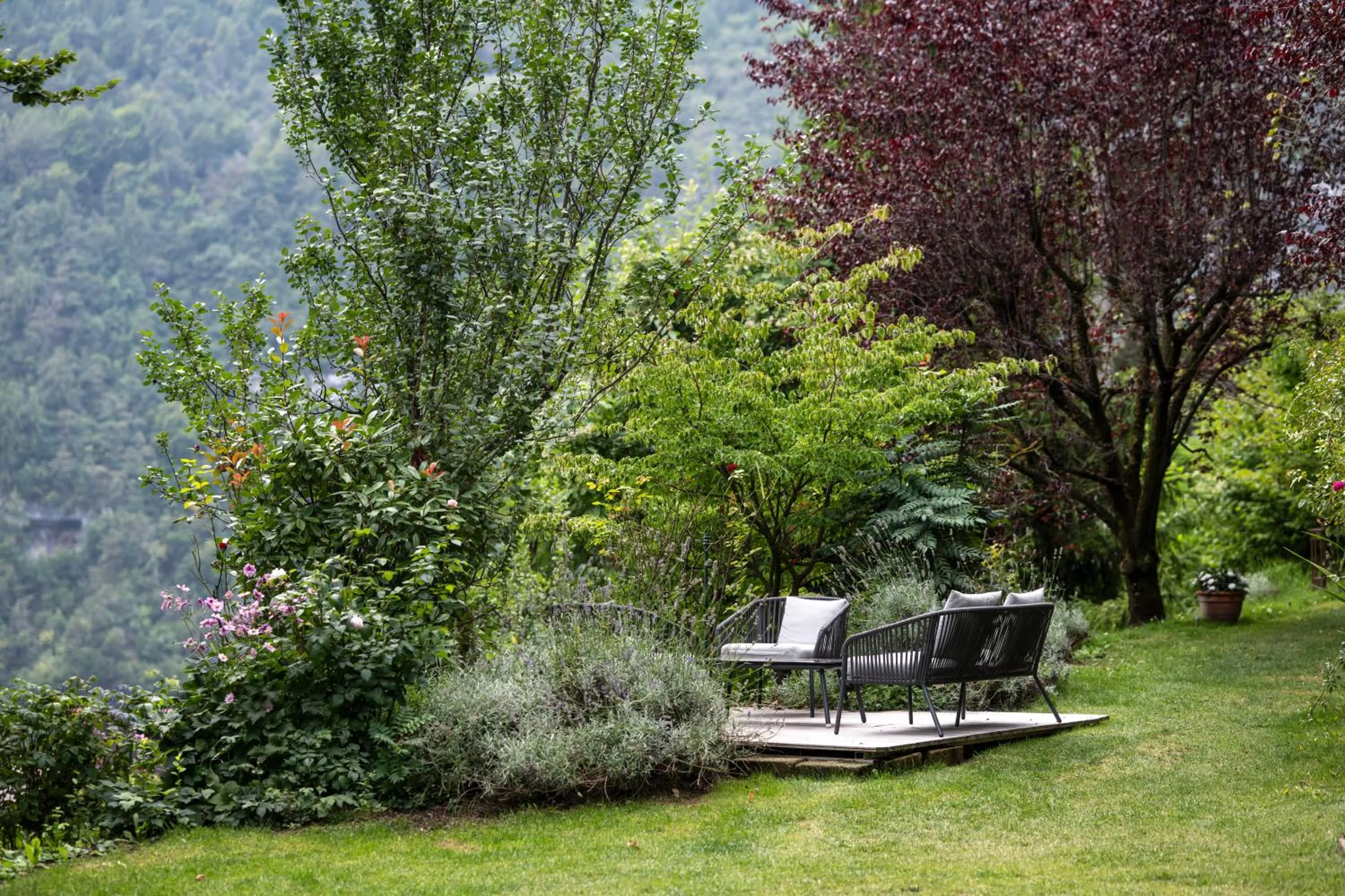 Garden in Alp Wellness Sport Hotel Panorama