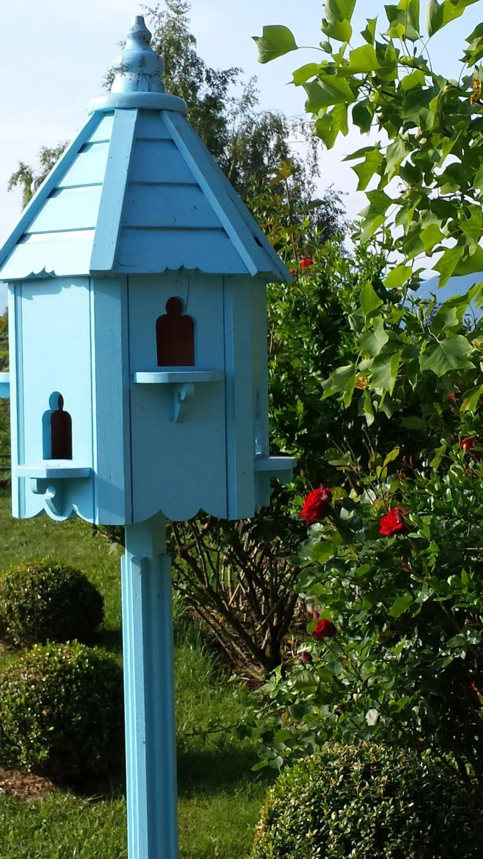 Garden in Alp Wellness Sport Hotel Panorama