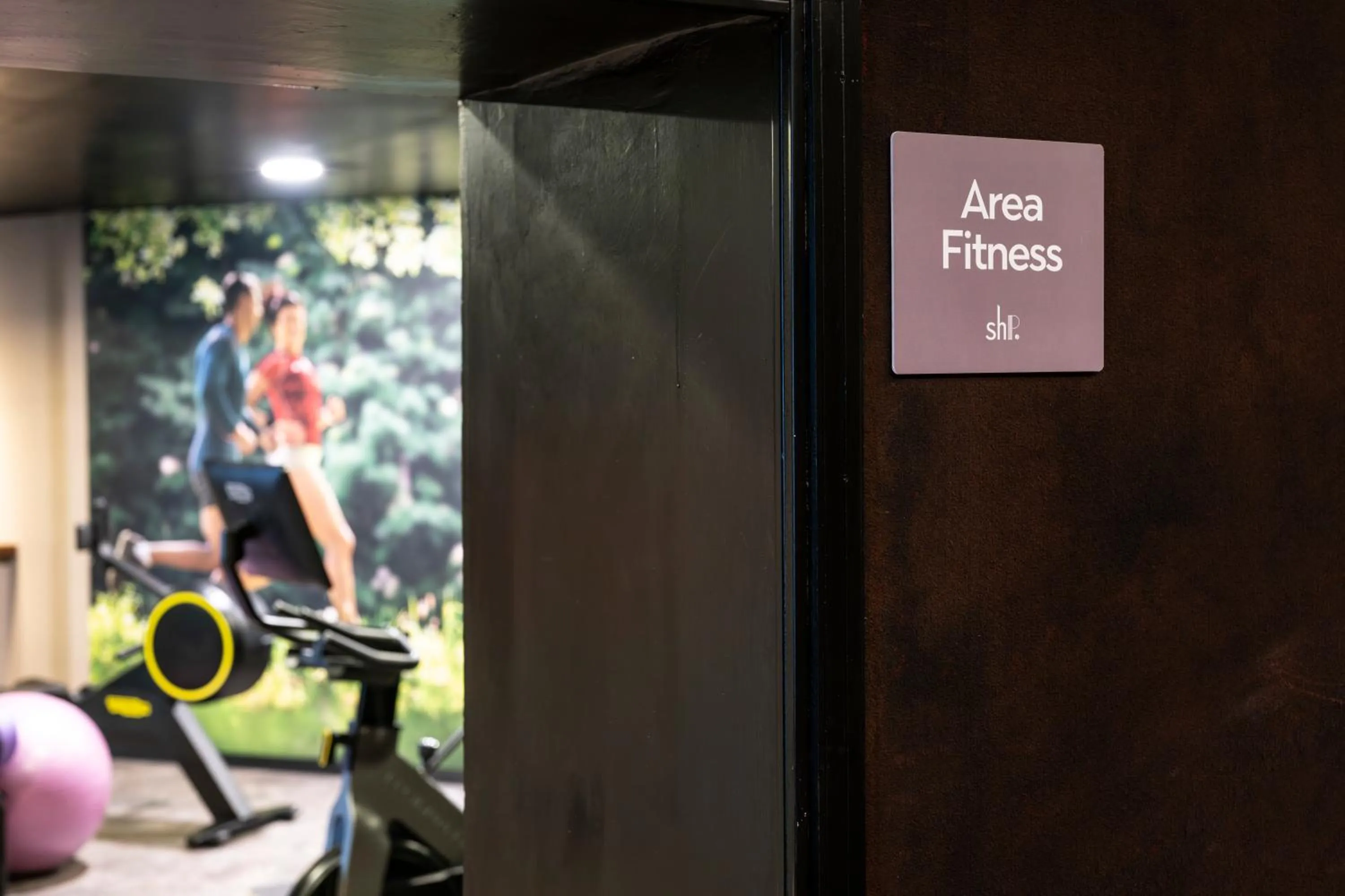 Fitness centre/facilities in Alp & Wellness Sport Hotel Panorama