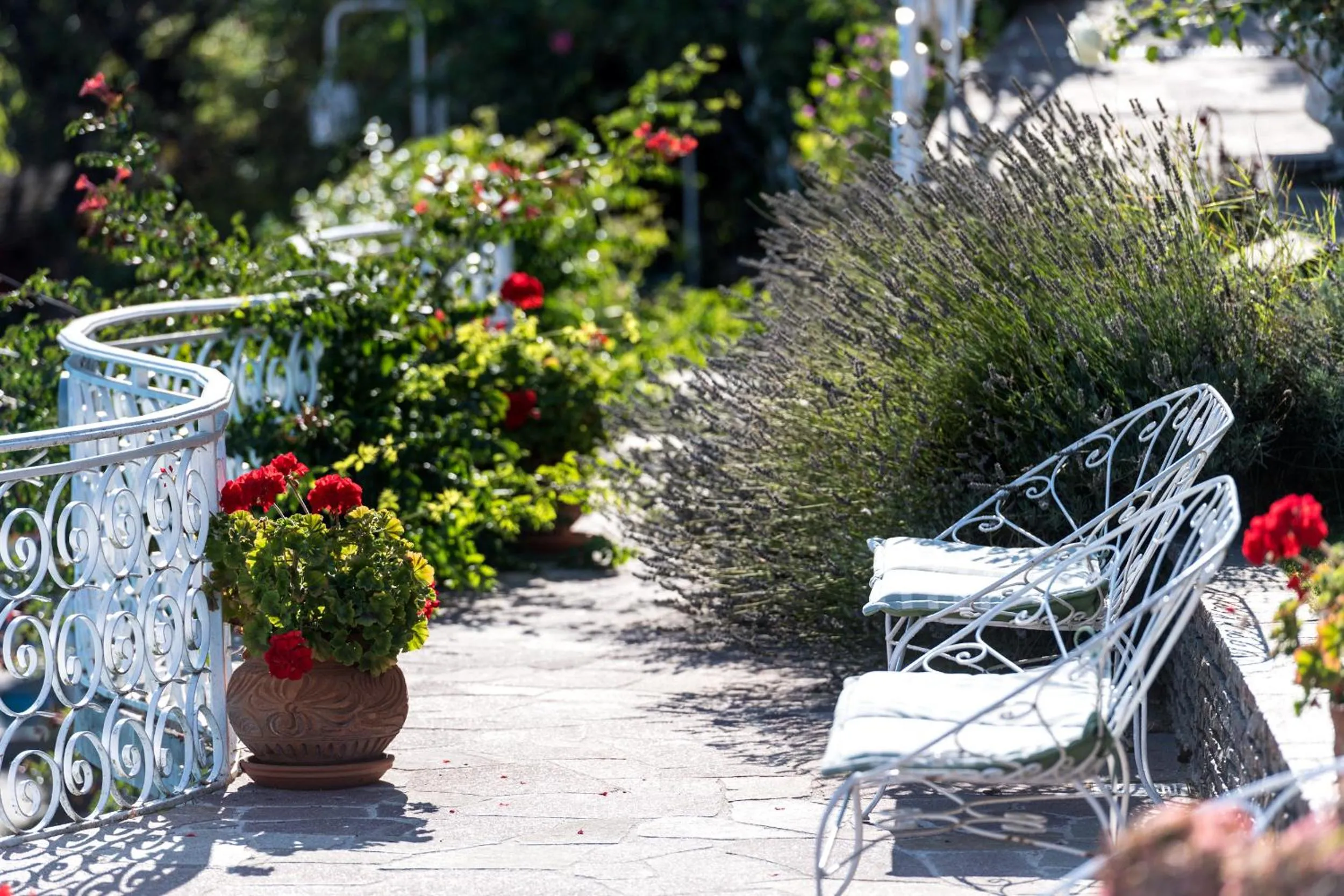 Area and facilities in Alp Wellness Sport Hotel Panorama