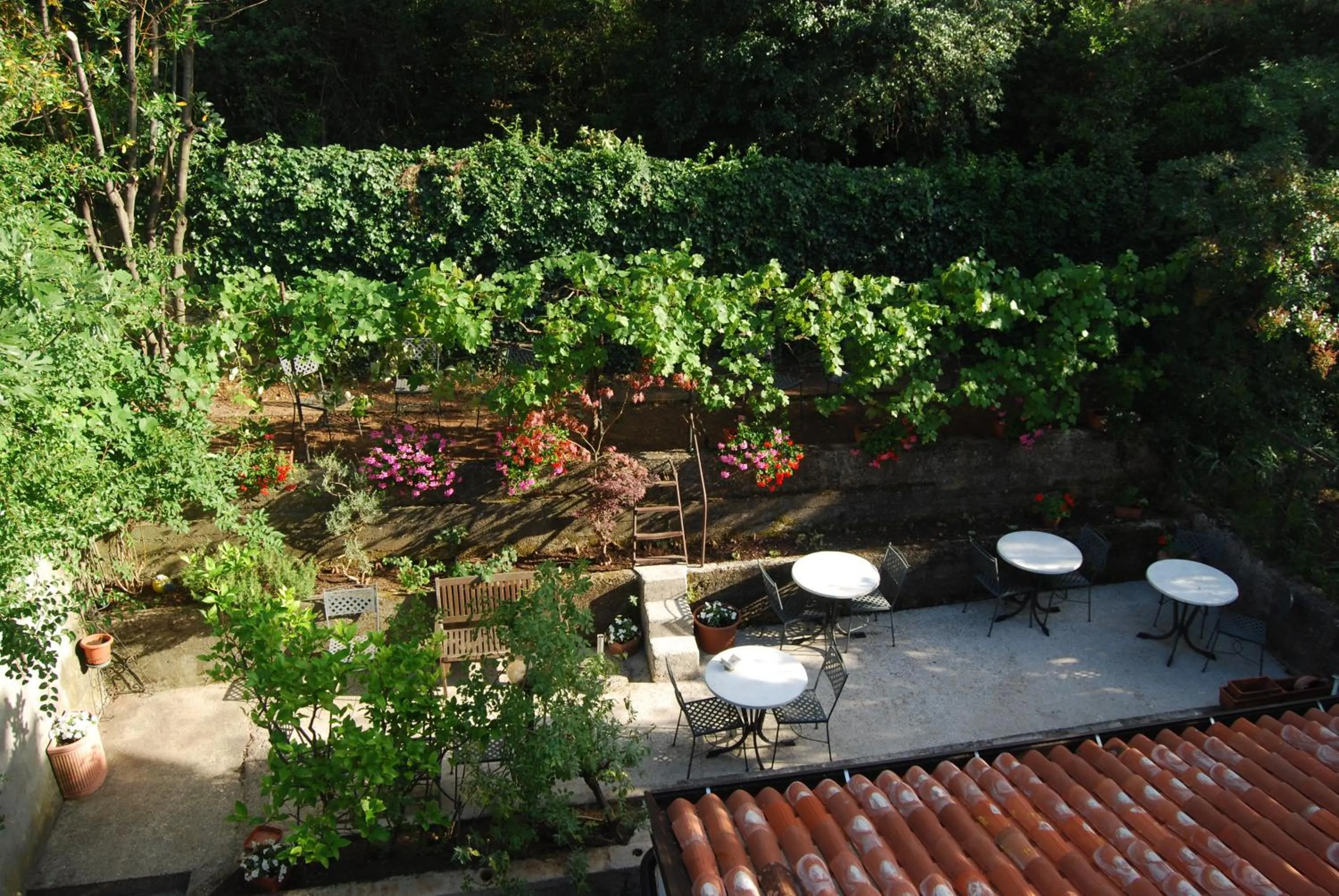 Patio in Hotel Aurora Duino