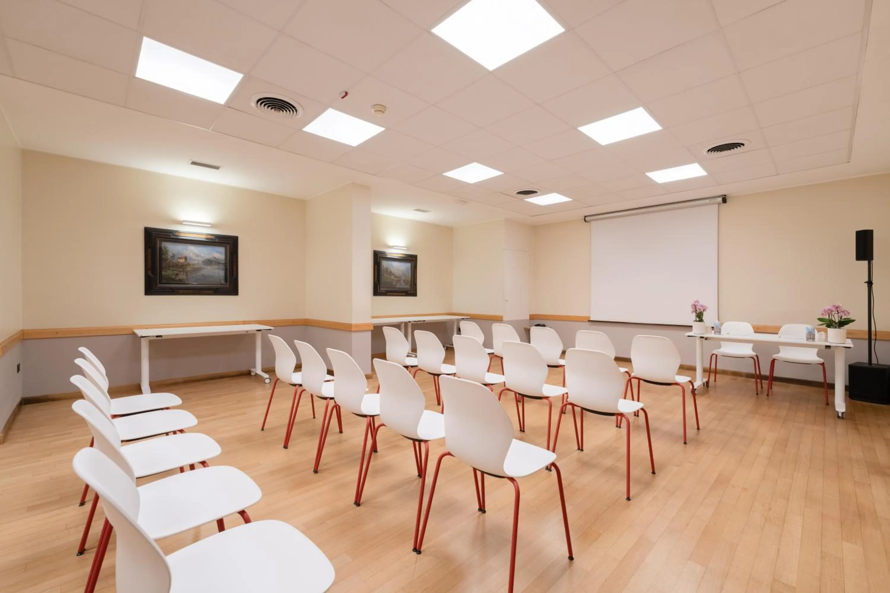 Meeting/conference room in Hotel Raffaello