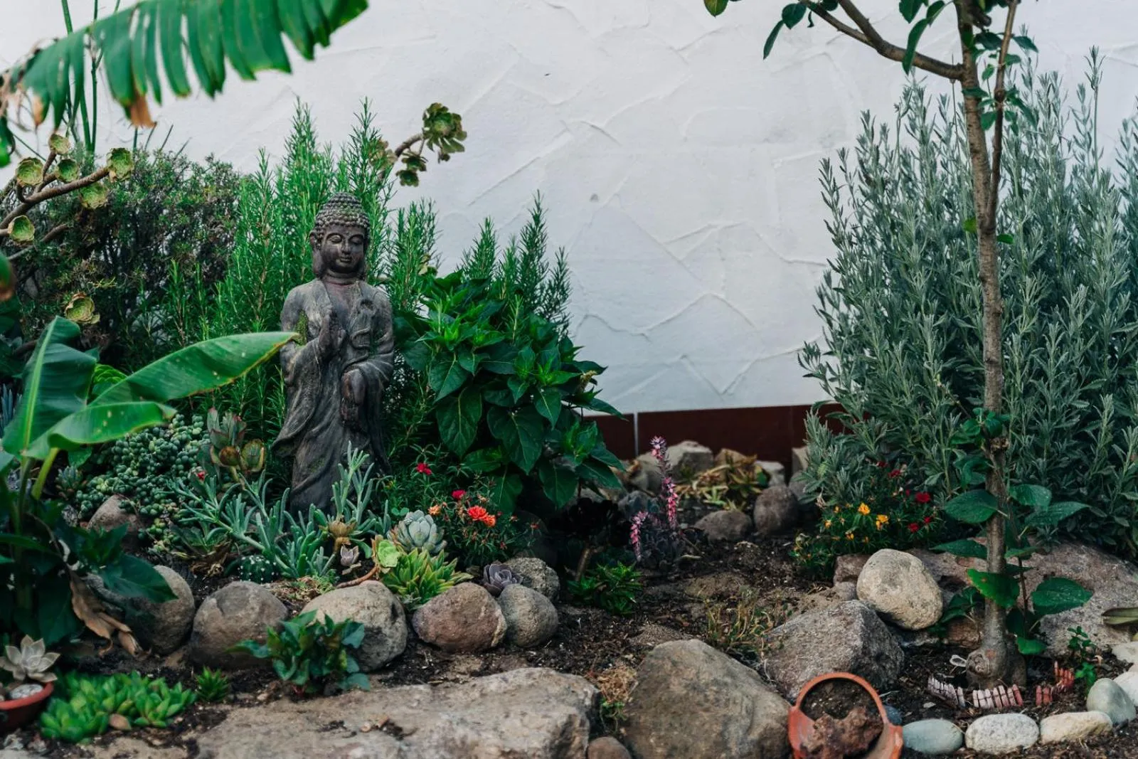 Garden in Juniper Bay