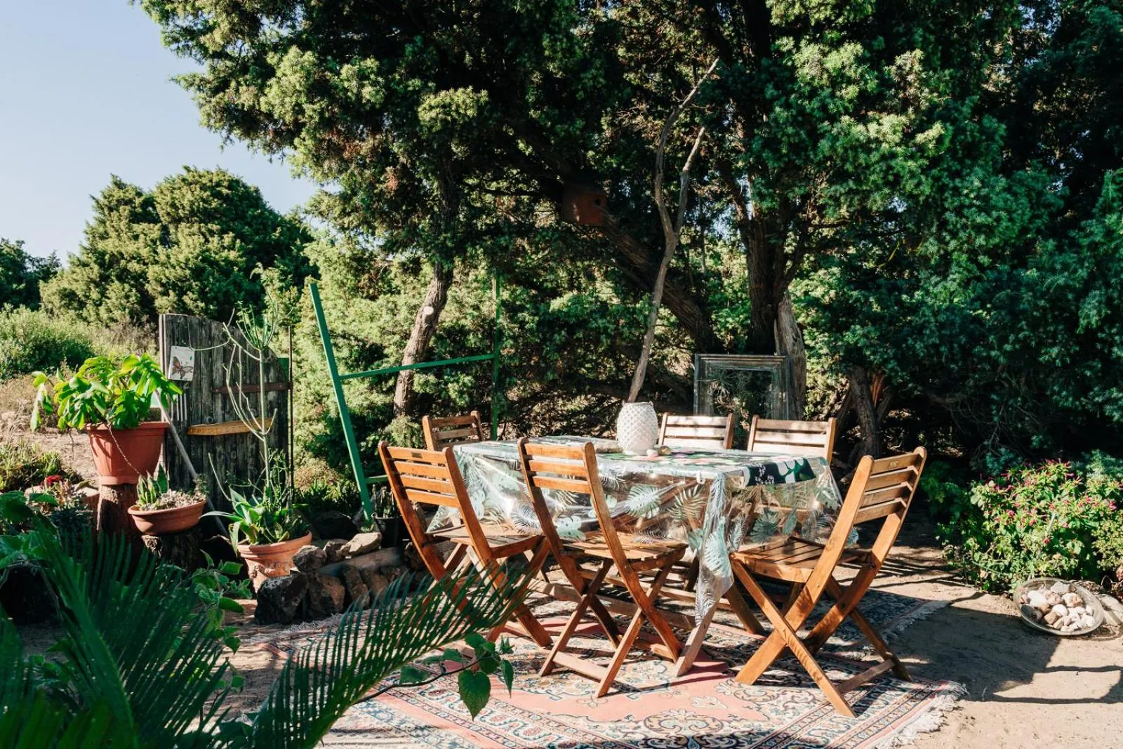 Garden in Juniper Bay