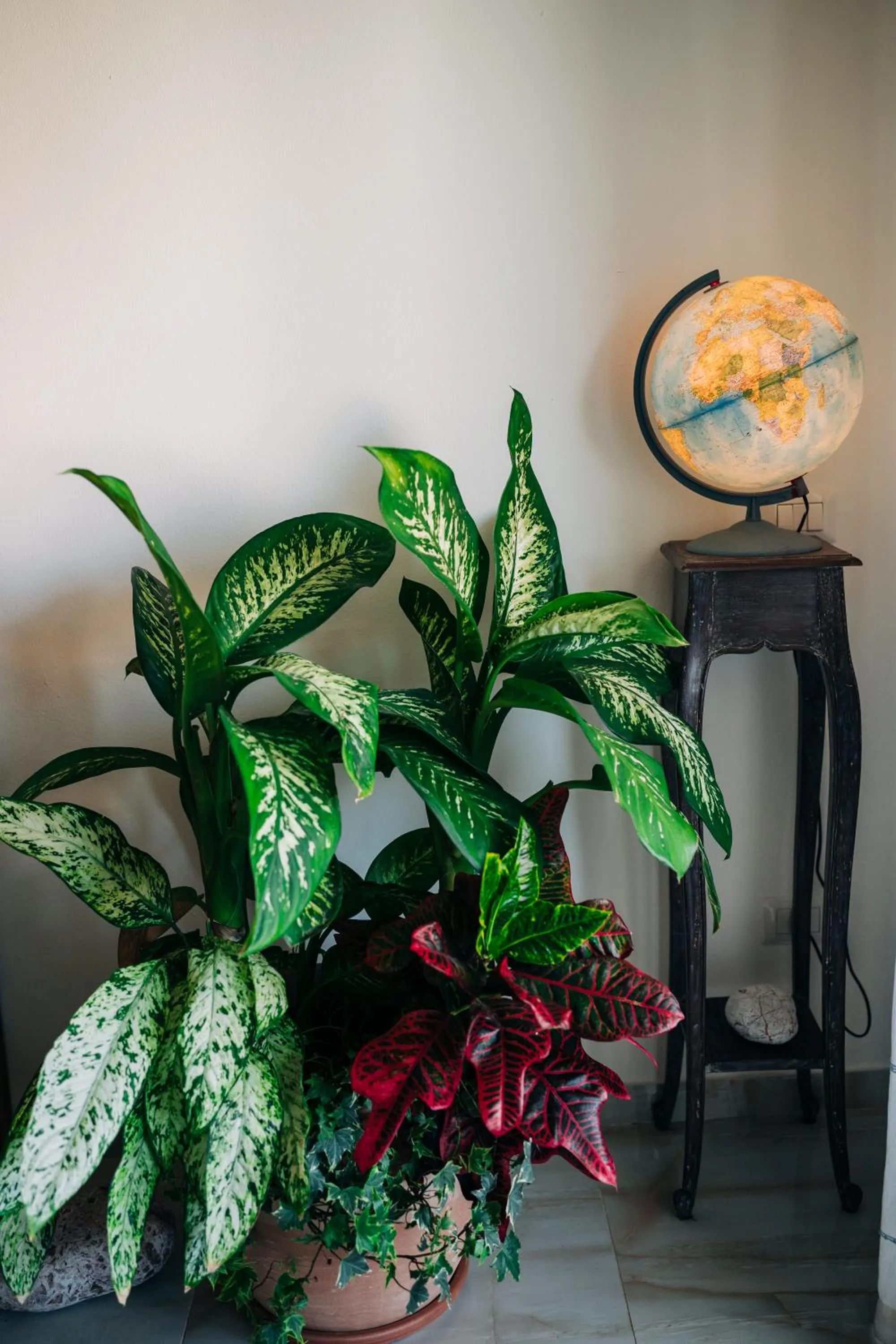 Living room in Juniper Bay