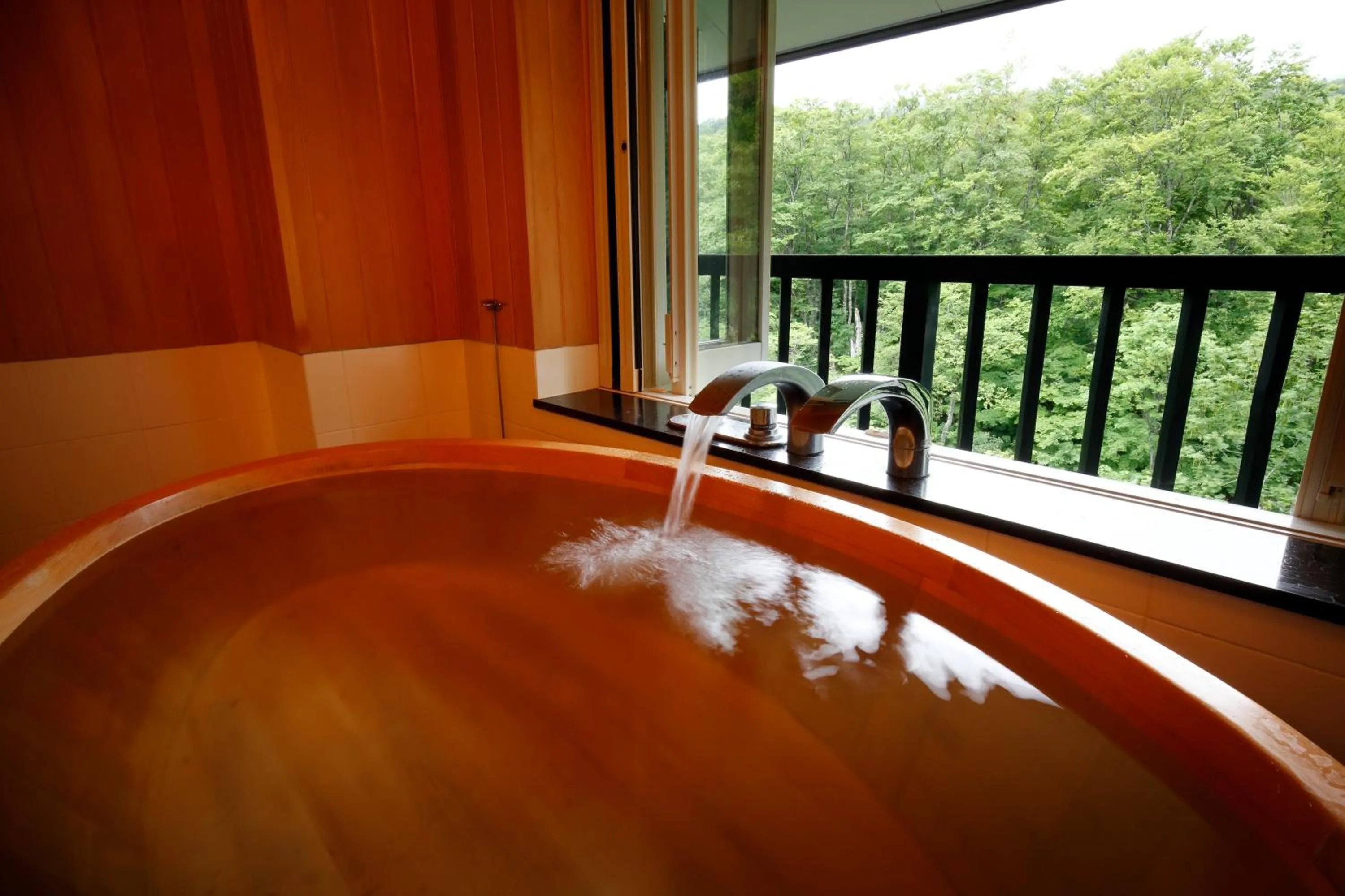 Natural landscape in Hotel Jogakura