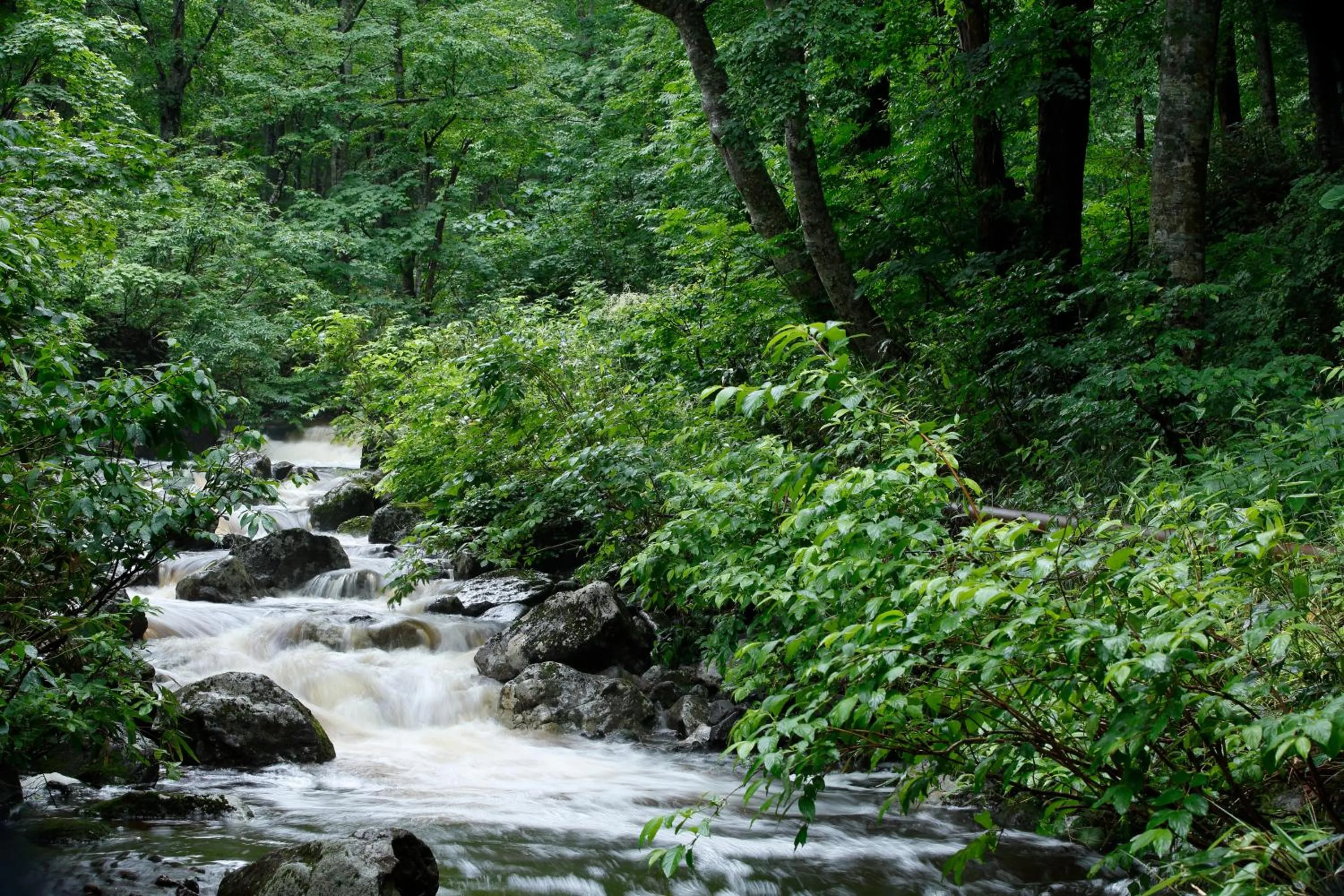 Nearby landmark in Hotel Jogakura