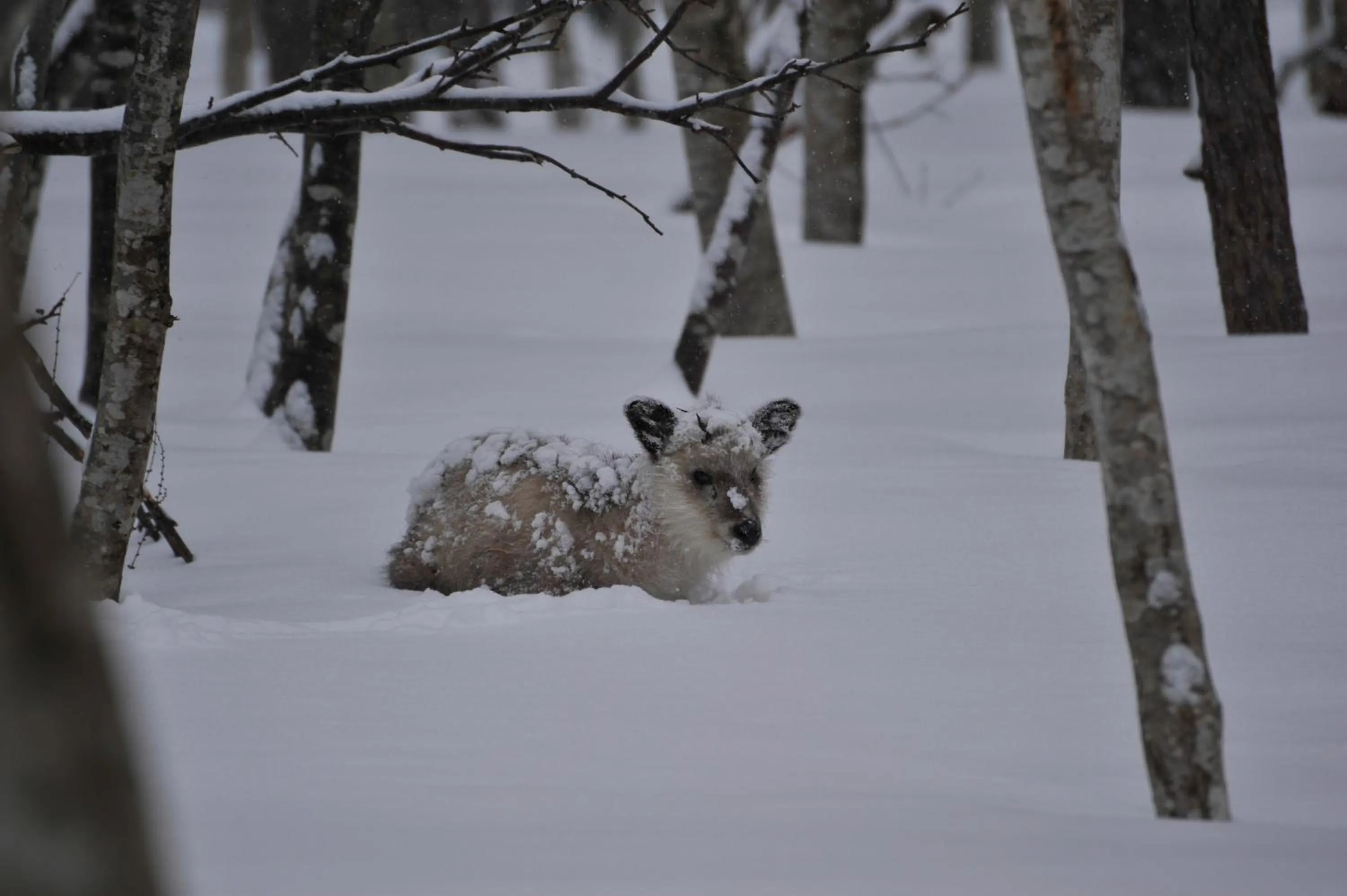 Off site in Hotel Jogakura