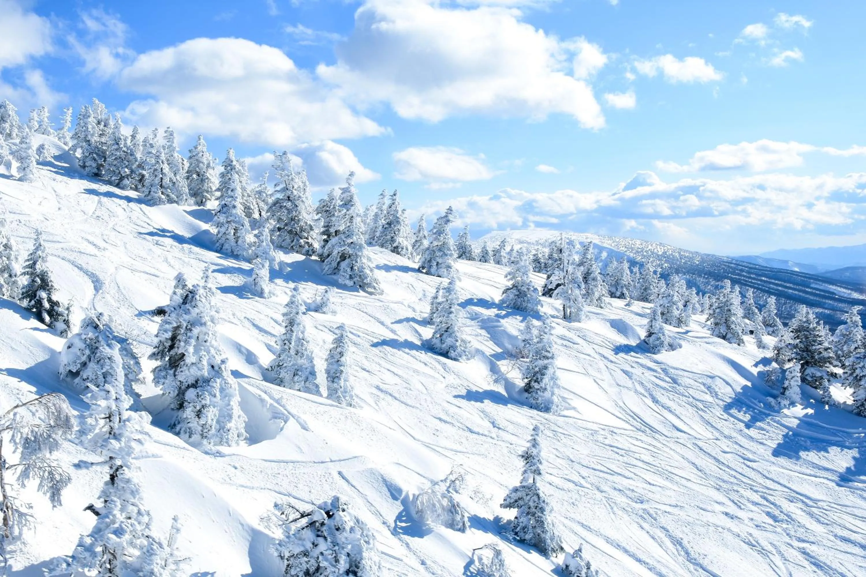 Nearby landmark in Hotel Jogakura