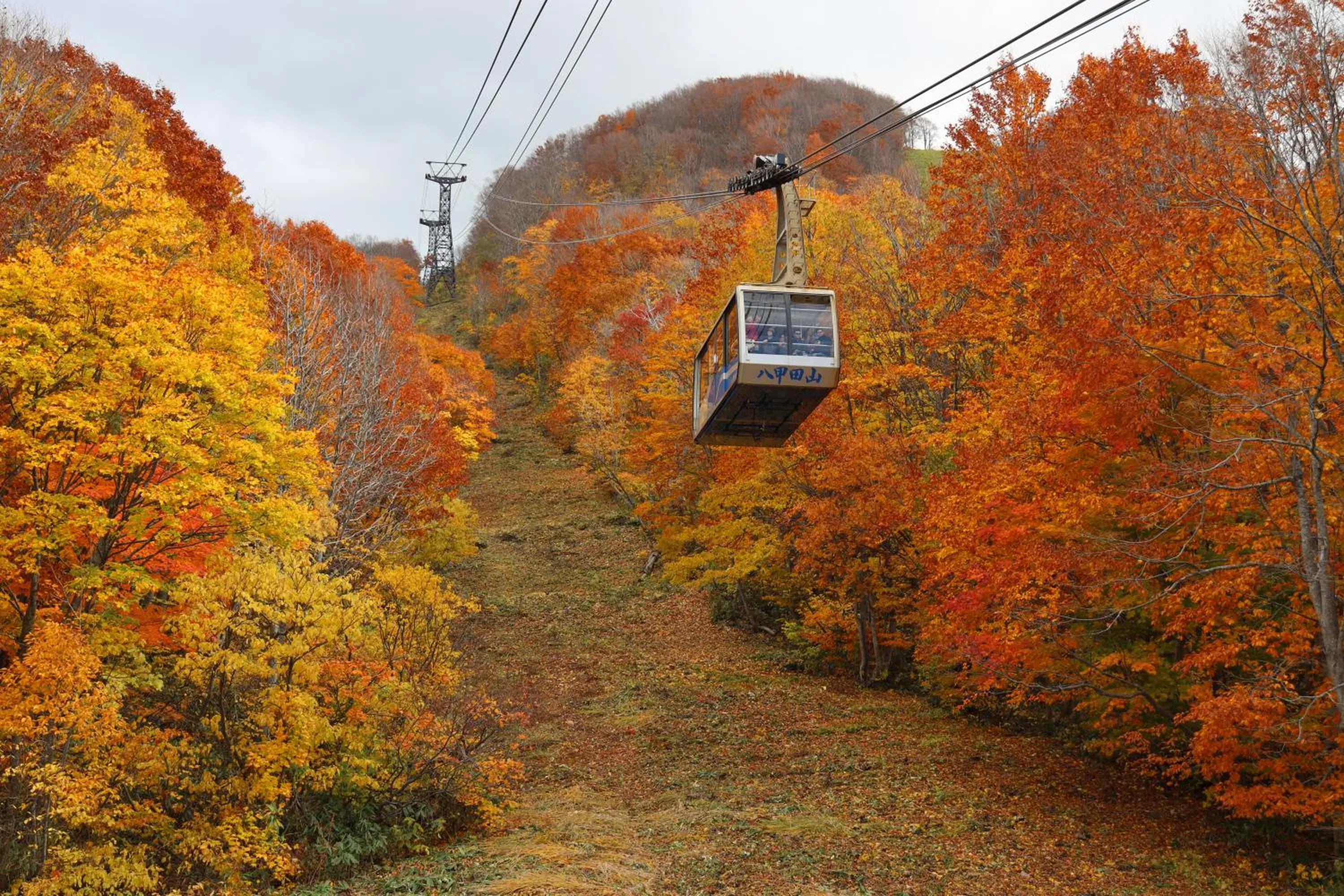 Off site in Hotel Jogakura