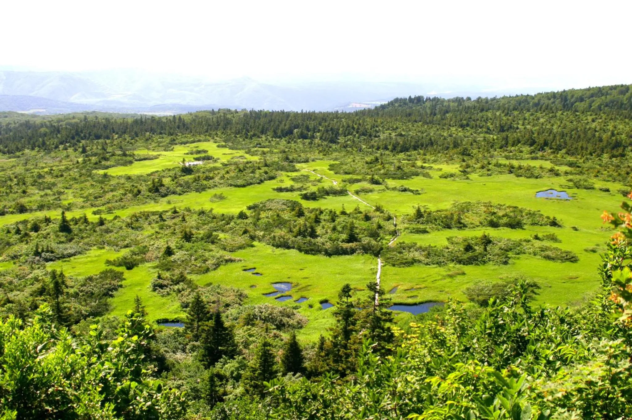 Off site in Hotel Jogakura