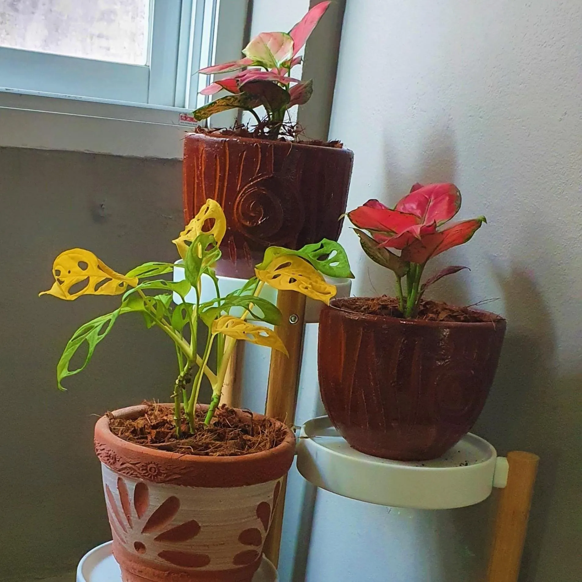 Property building in Lenny's Koh Samui