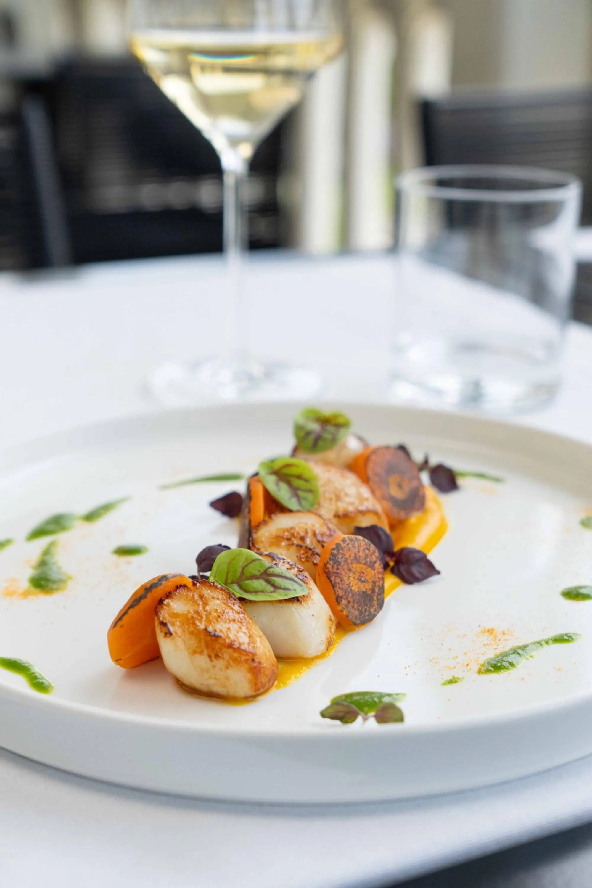 Restaurant/places to eat in Hotel Carducci 76