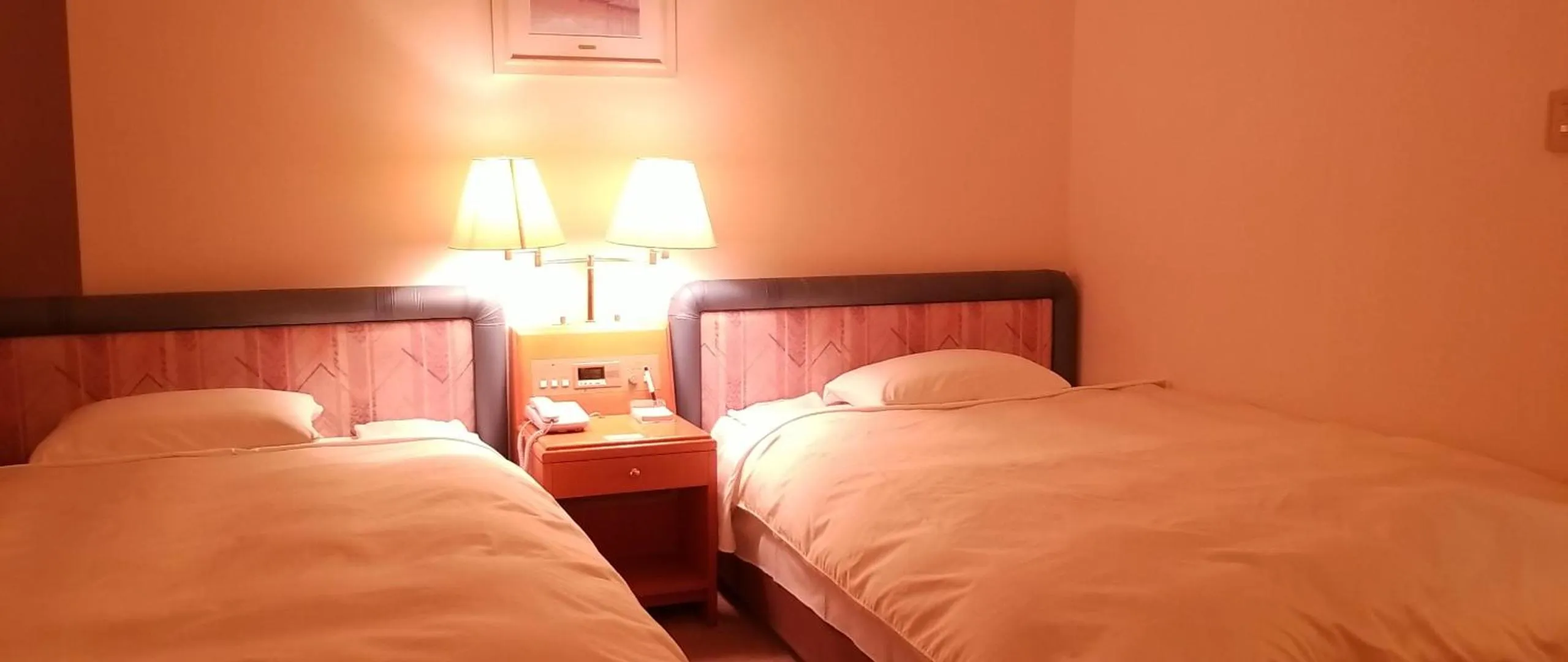 Photo of the whole room, Bed in Hotel Grand Terrace Toyama