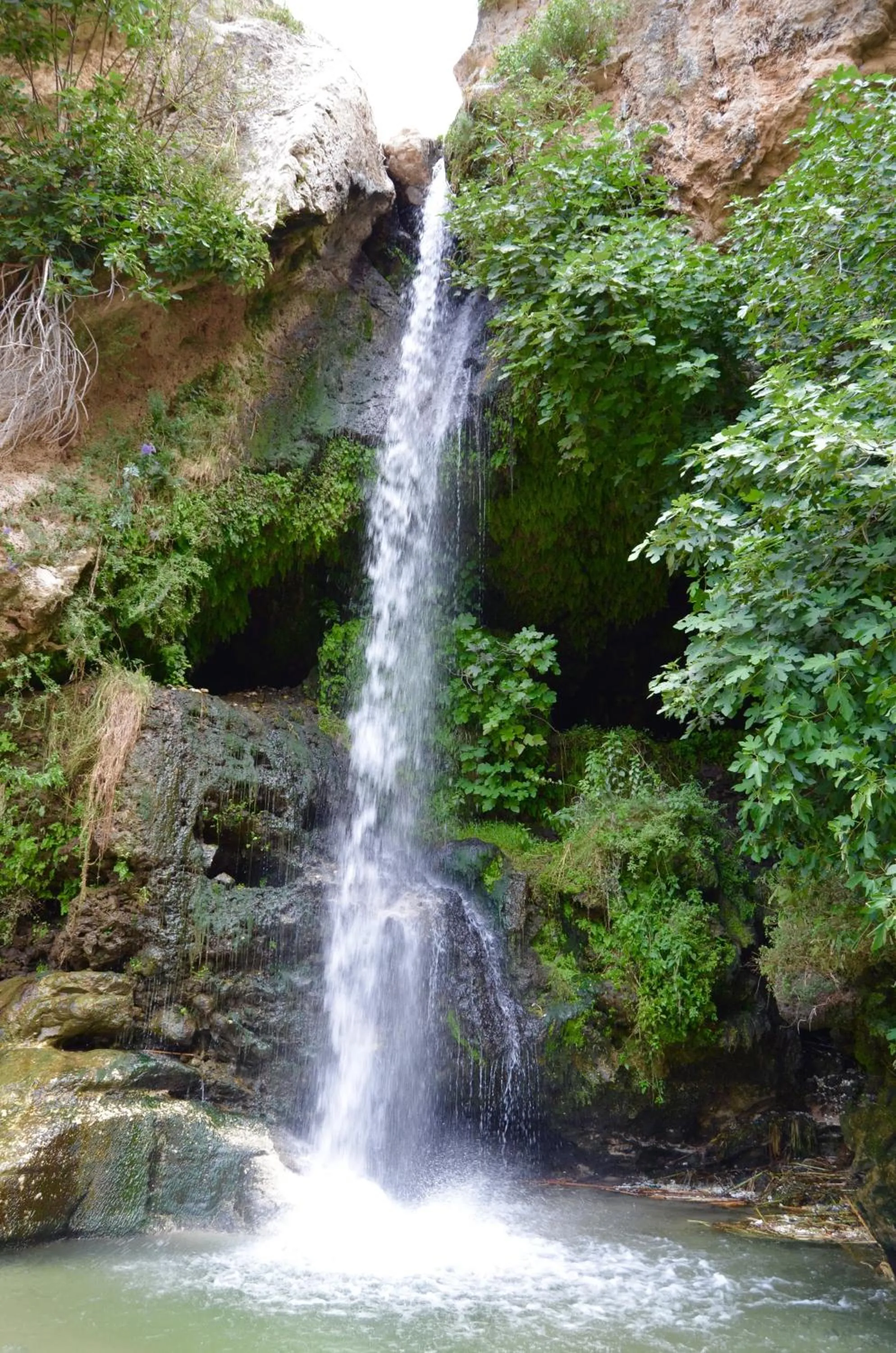 Hiking in Sikania Suite