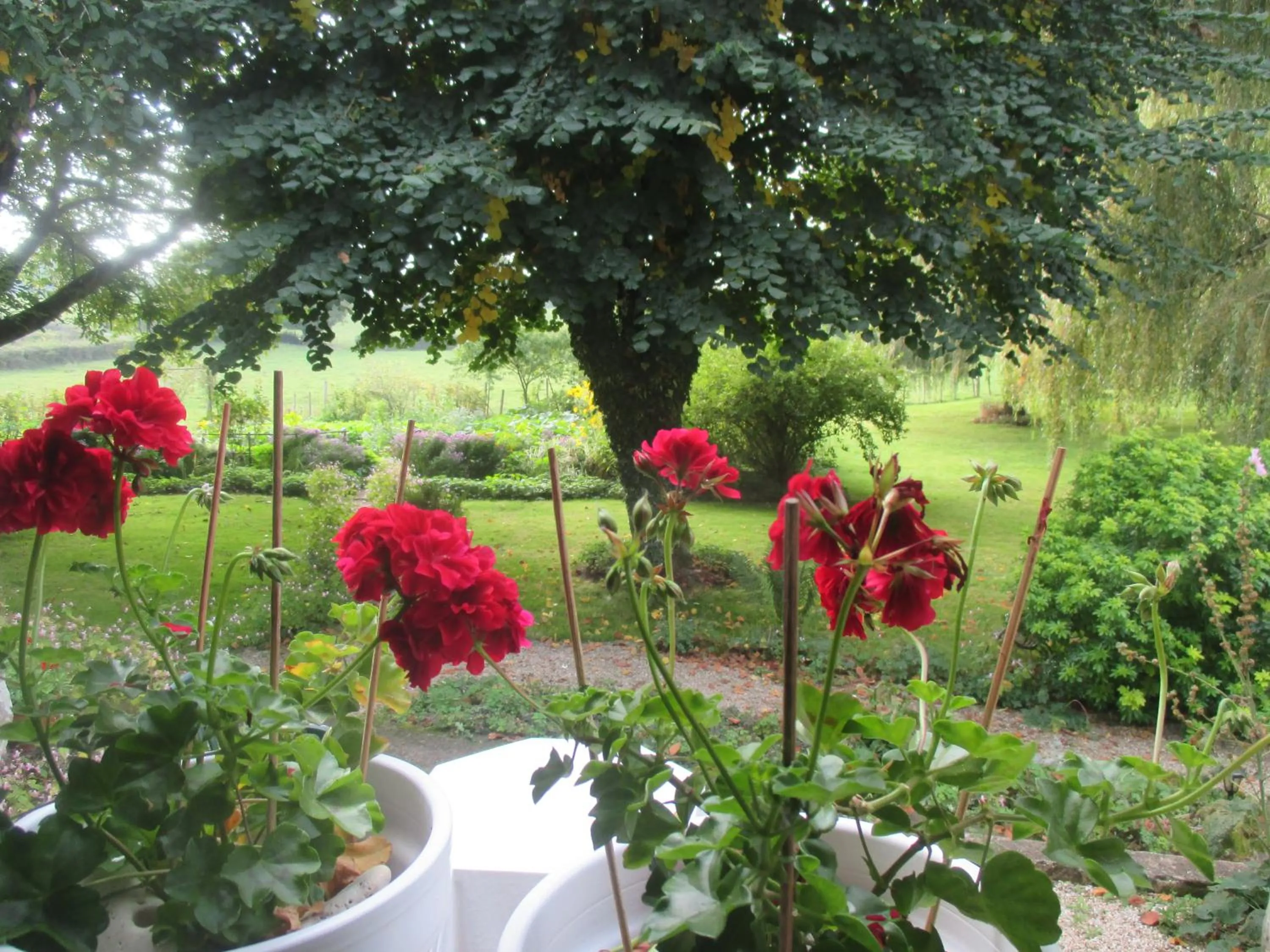 La Maison prés du ruisseau Chambre jaune