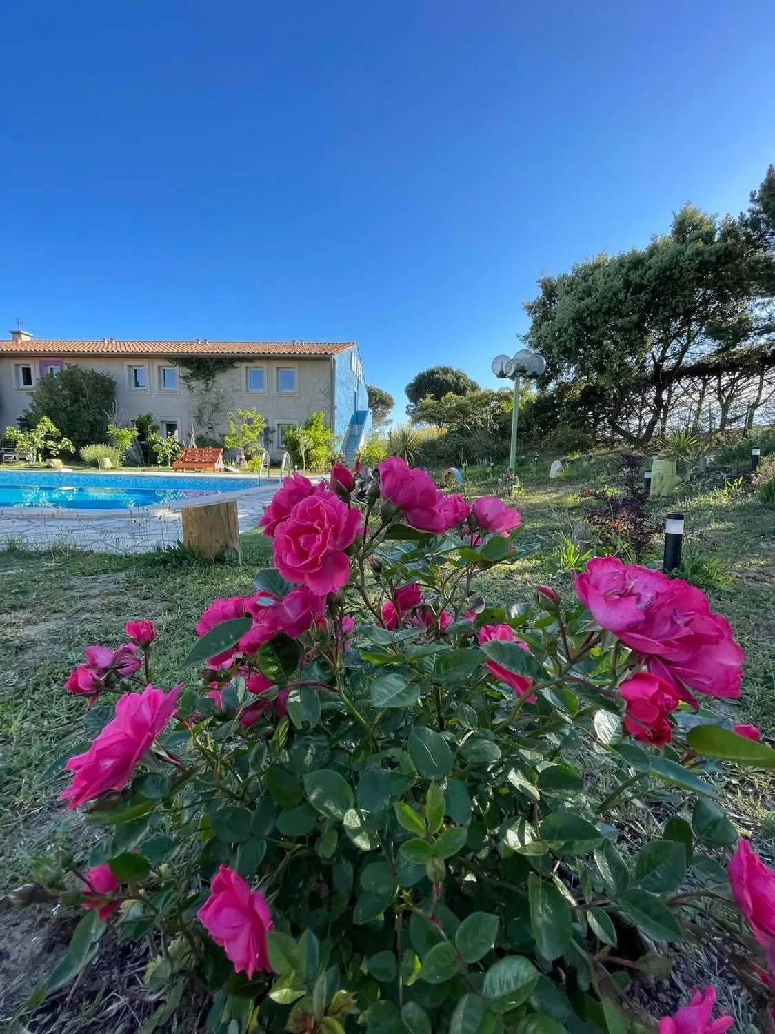 Spring in Bel Hotel Restaurant la Gentilhommière