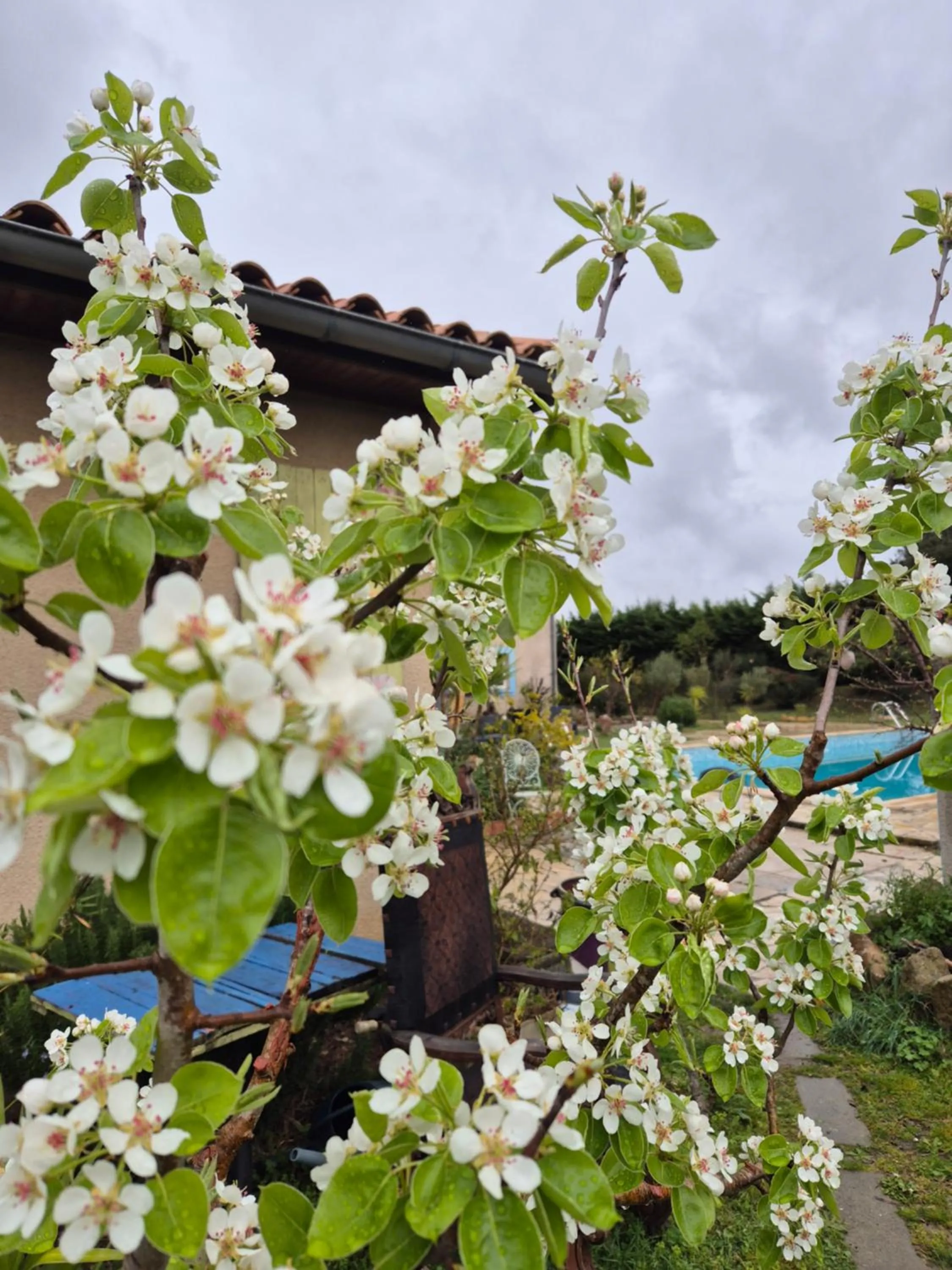Garden in Bel Hotel Restaurant la Gentilhommière